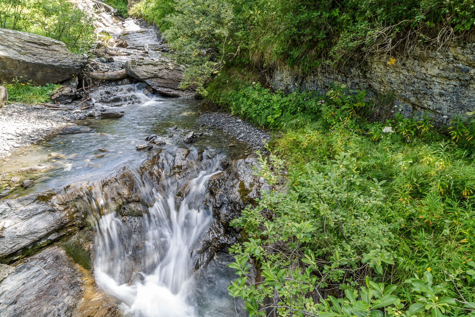 Suonenwanderung