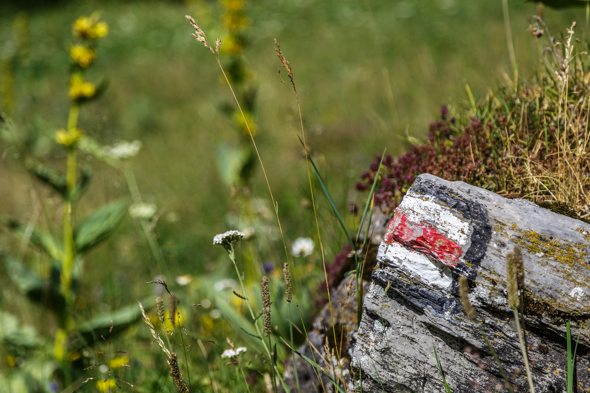 Wanderwege-Wallis