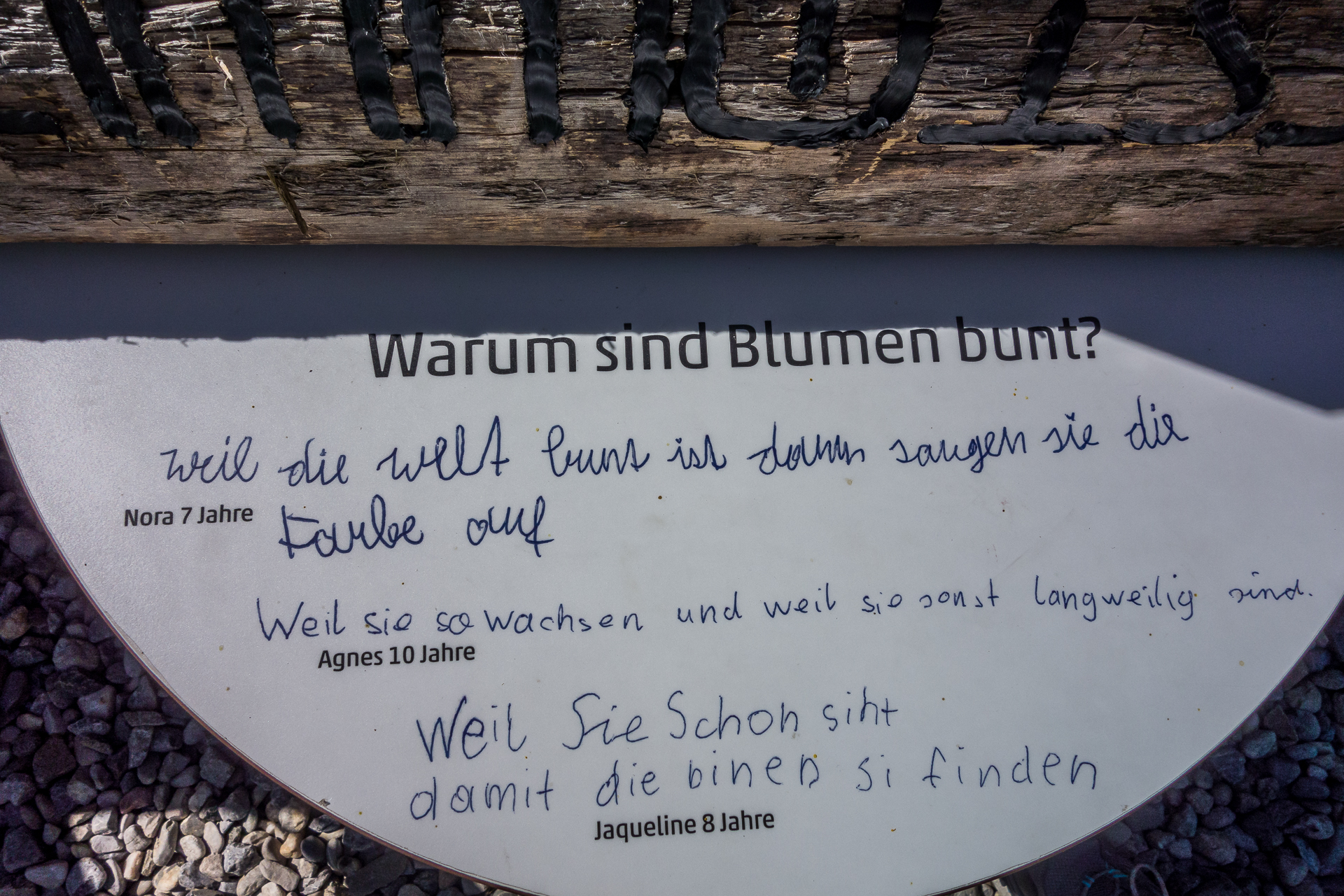 Warum-sind-Blumen-bunt