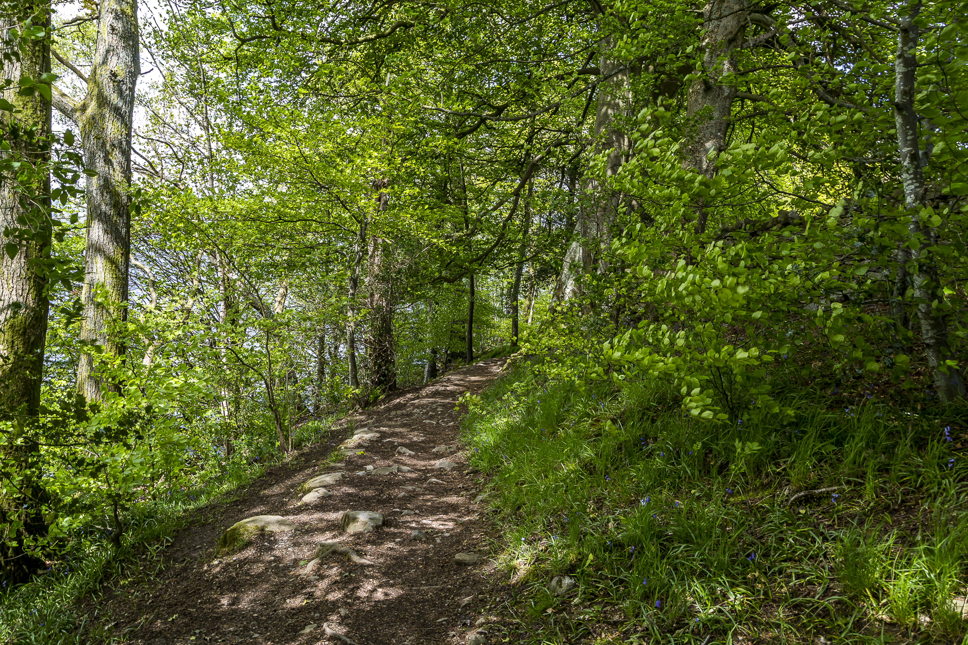 Windermere-Wanderweg