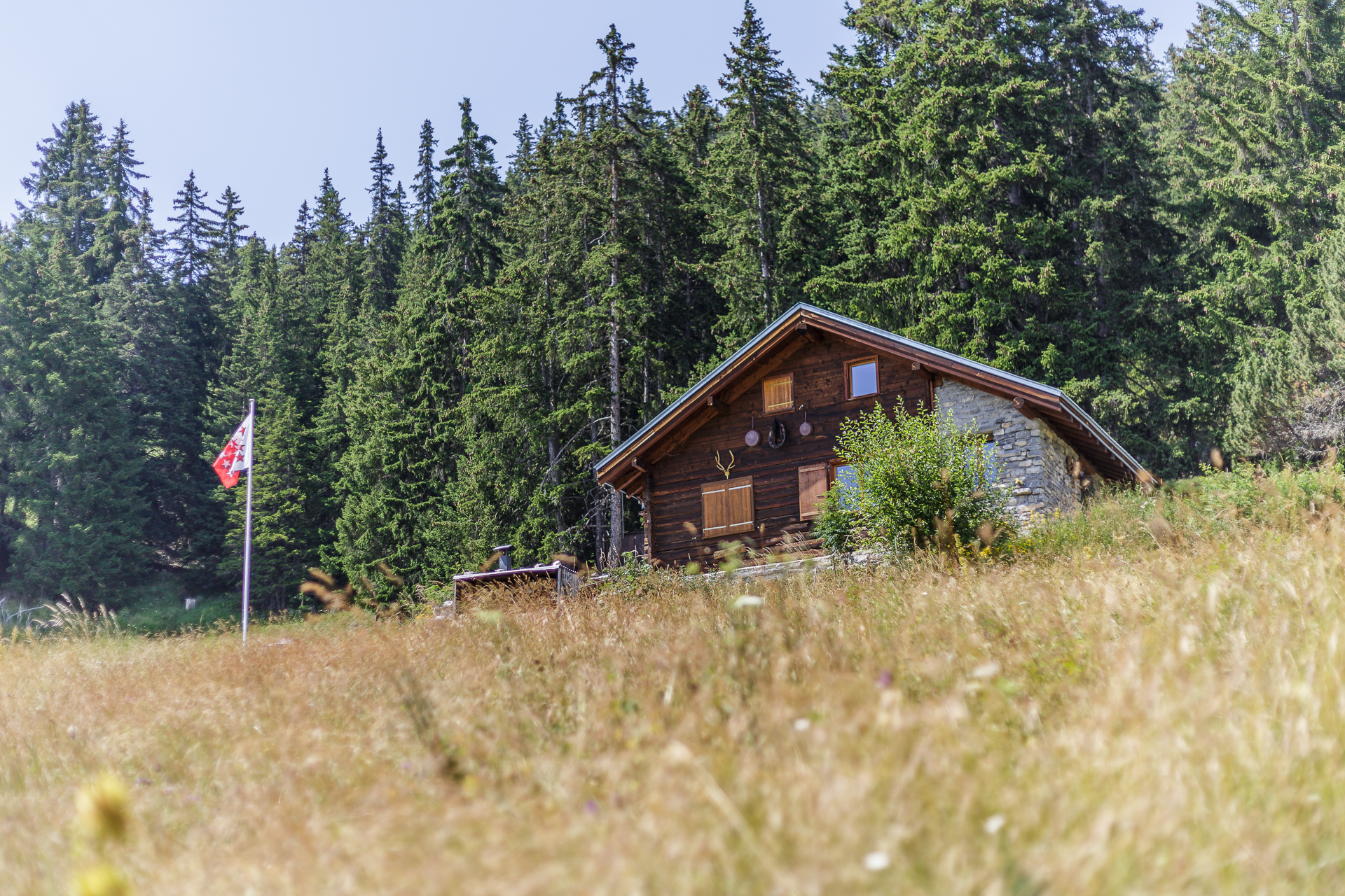 froschreisen-crans-67