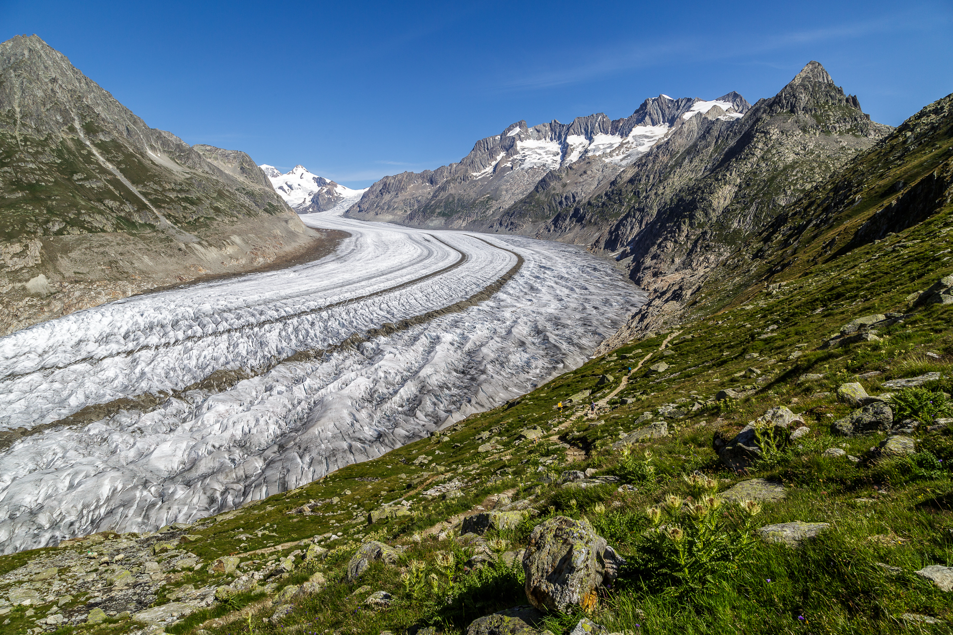 Aletsch-Gletscher