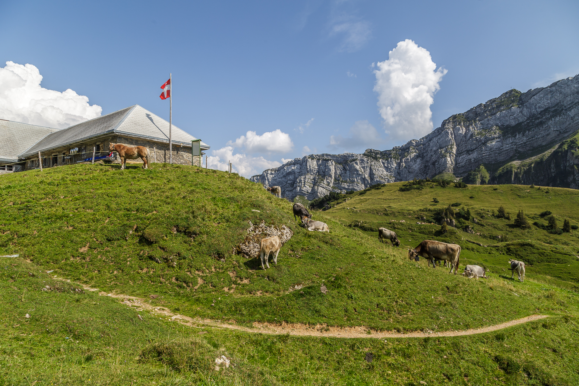 Alp-Oberchaeseren-Weesen