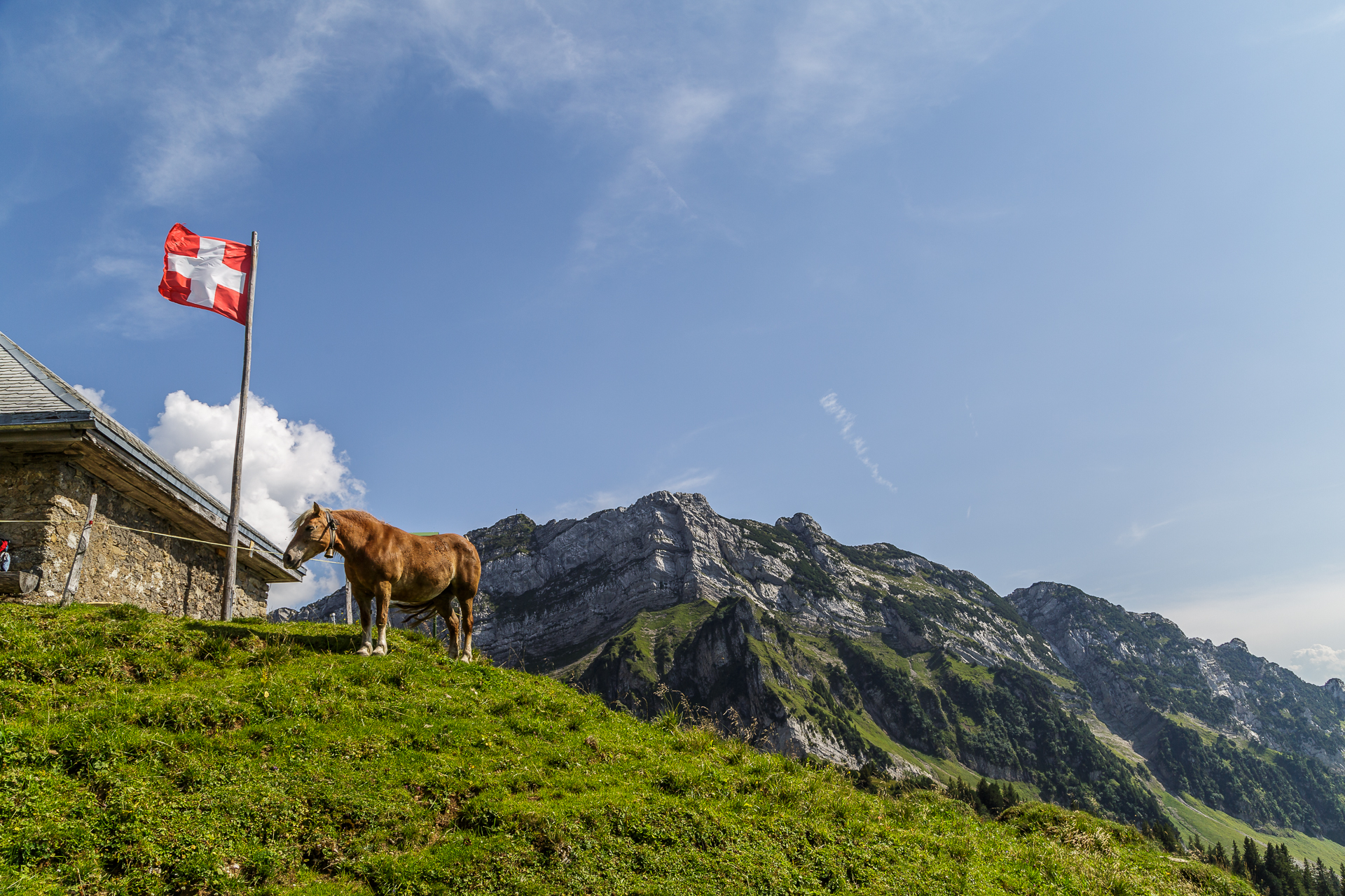 Alp-Oberchaeseren