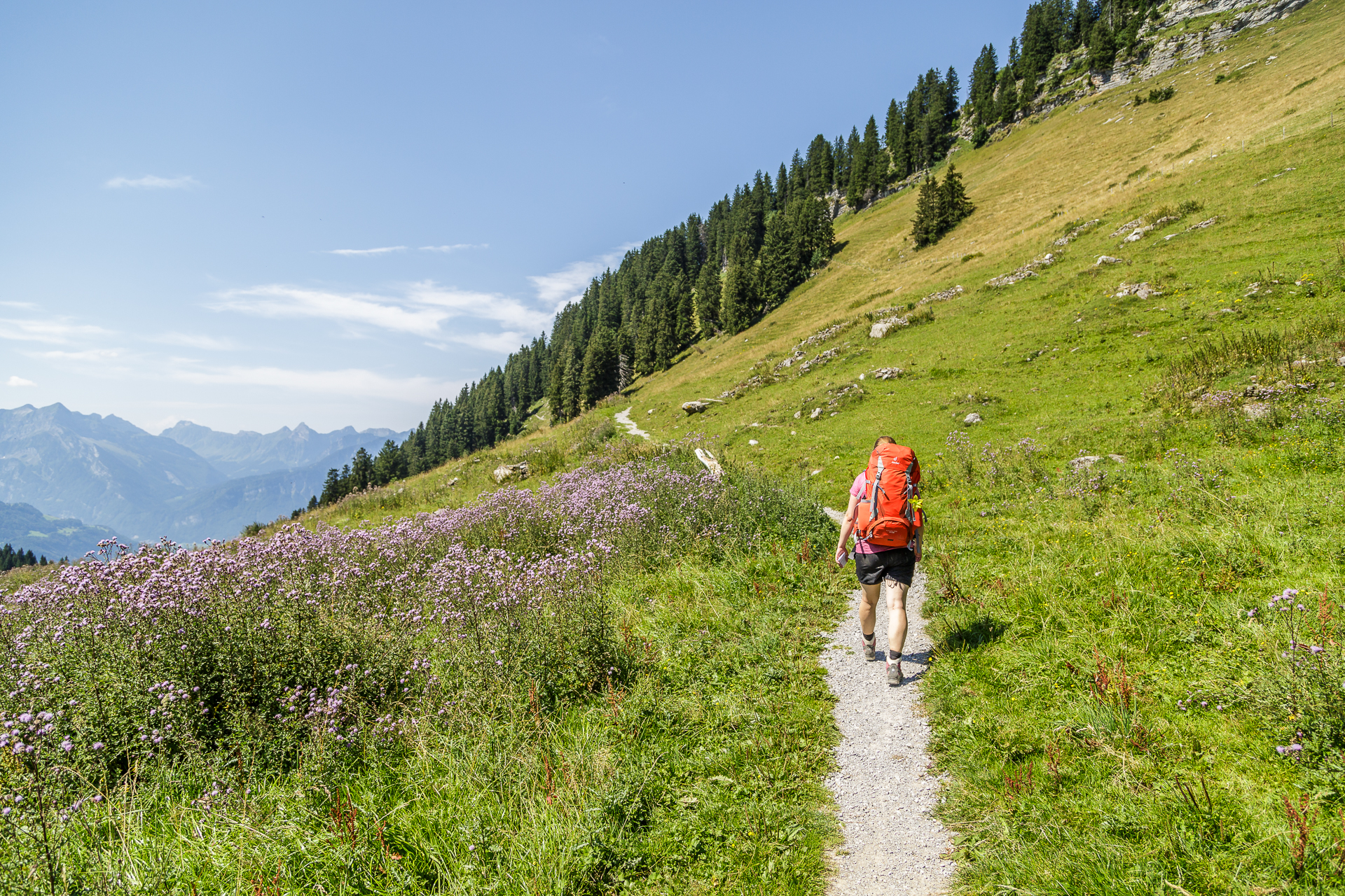 Amden-Arvenbuel-Toggenburg