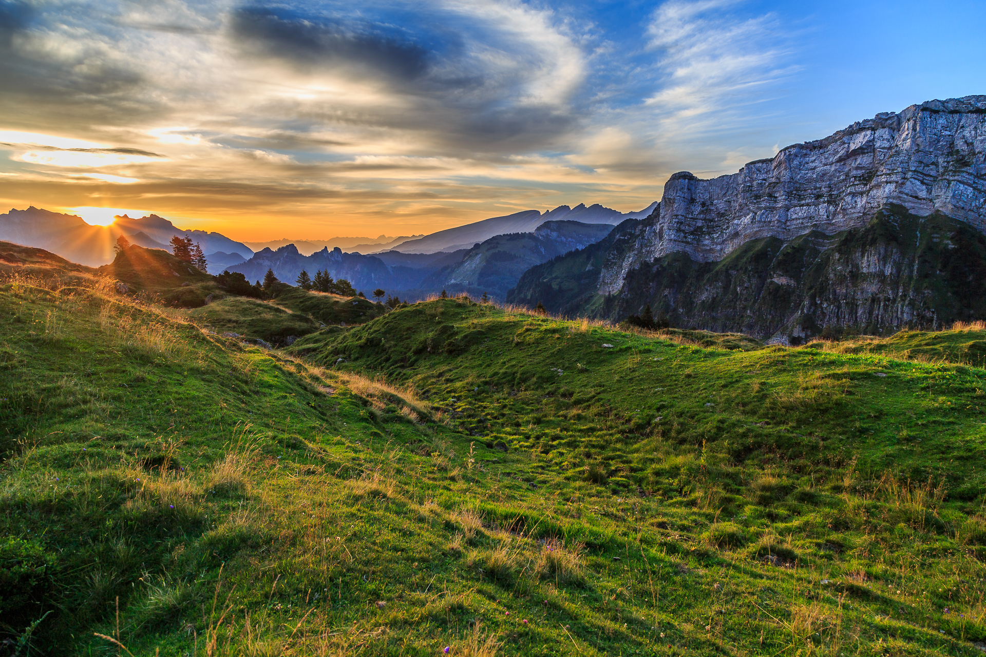 Bergsommer-Alp