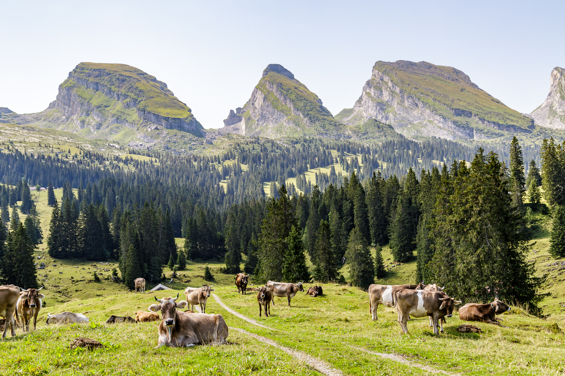 Churfirsten-Toggenburg