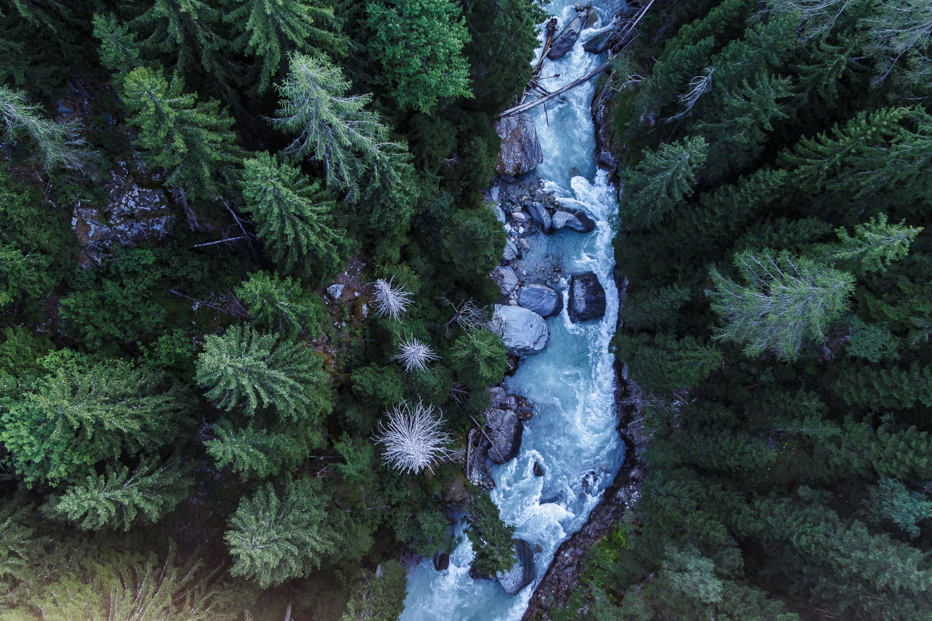Goms-Bridge-Bellwald-1