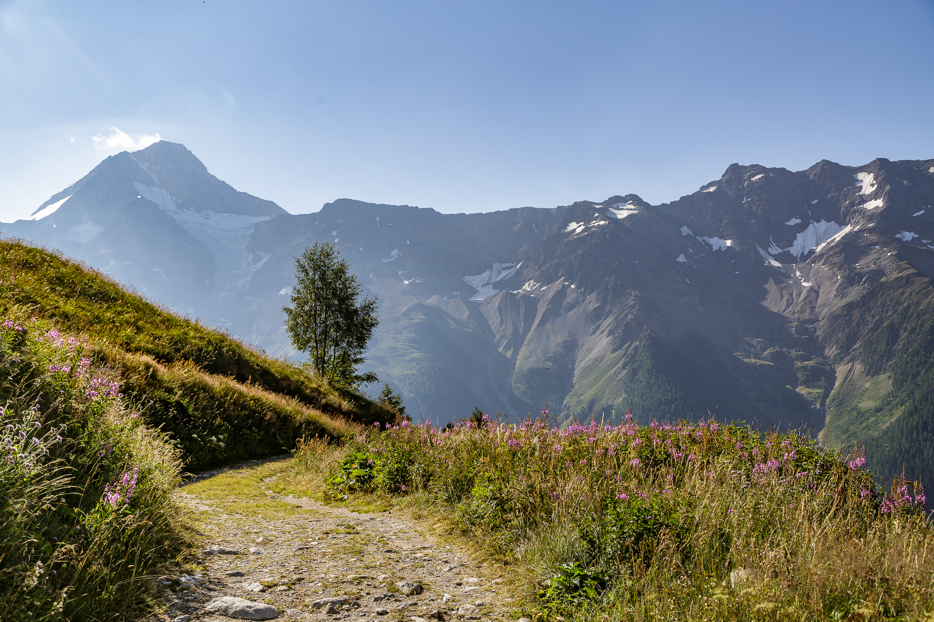 Loetschentaler-Hoehenweg-1