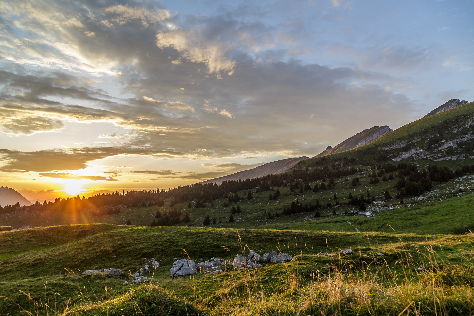 Morgenstimmung-vordere-Selunalp-2