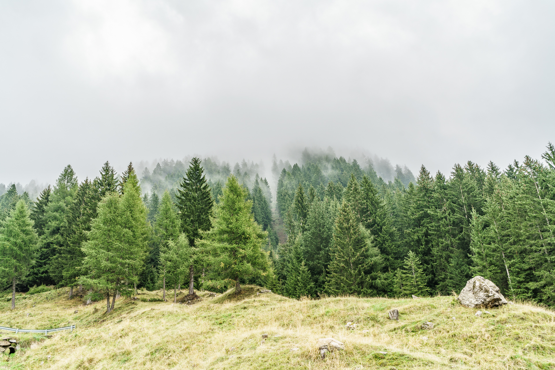 Suedtirol-Nebel