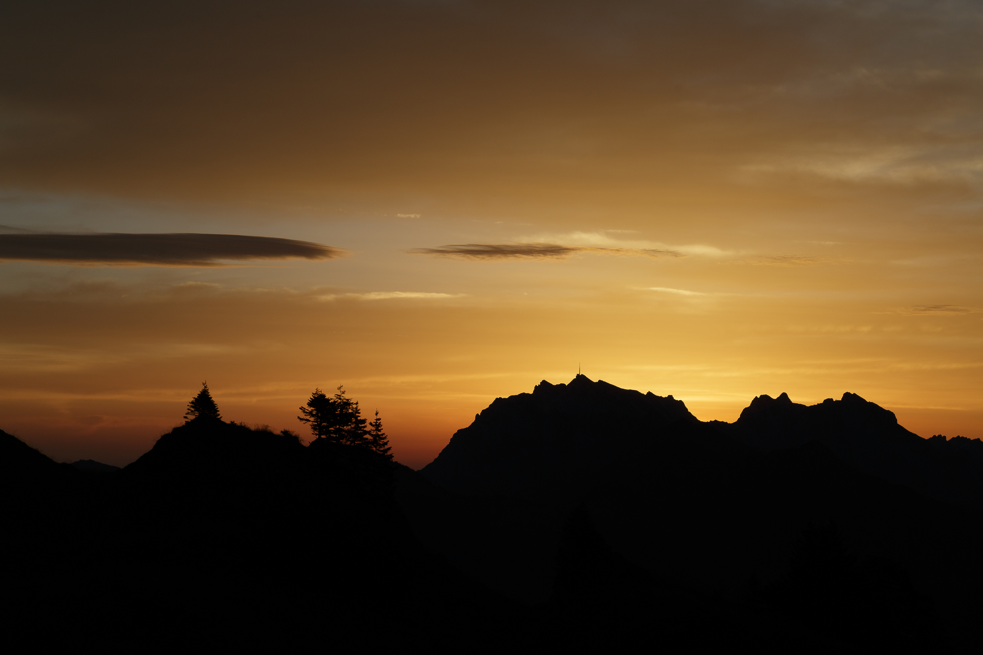 Toggenburg-Shilouette
