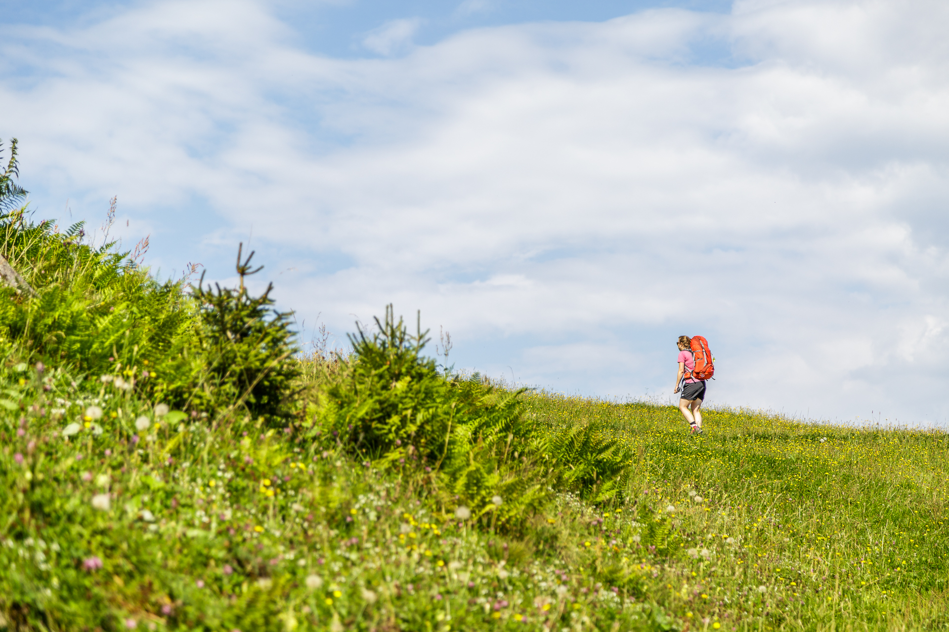 Toggenburger-Hoehenweg-Wandern