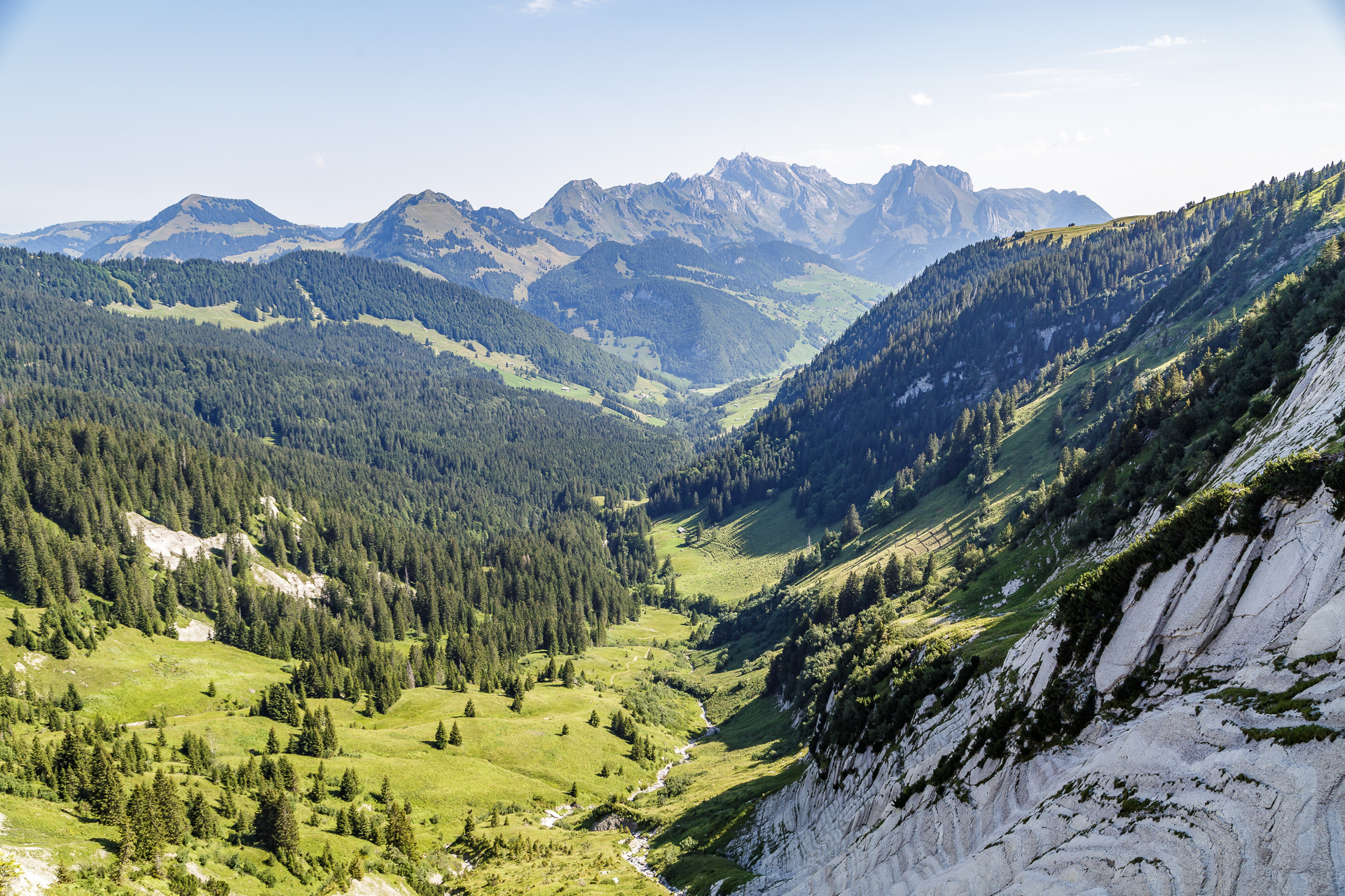 Tritt-Toggenburg