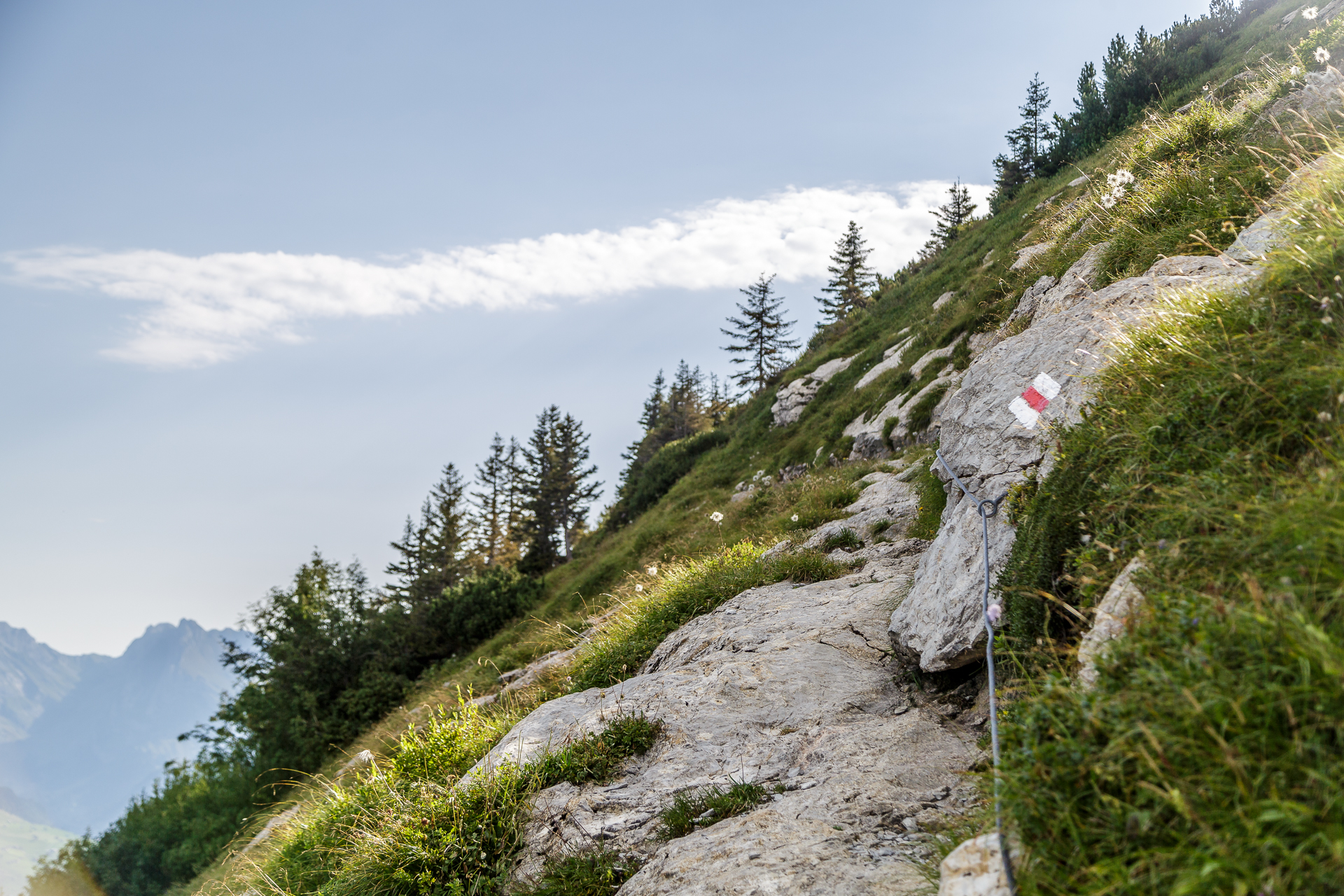 Tritt-Toggenburger-Hoehenweg-2