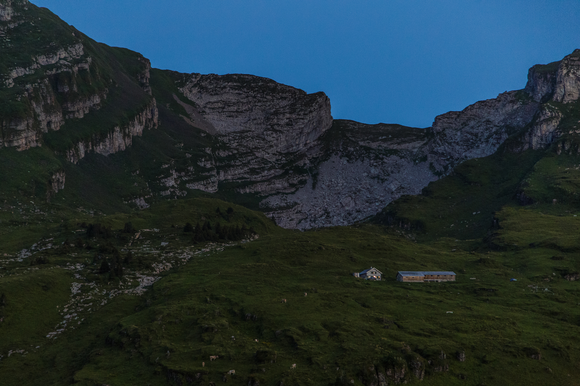 Vordere-Selunalp-Alphuette