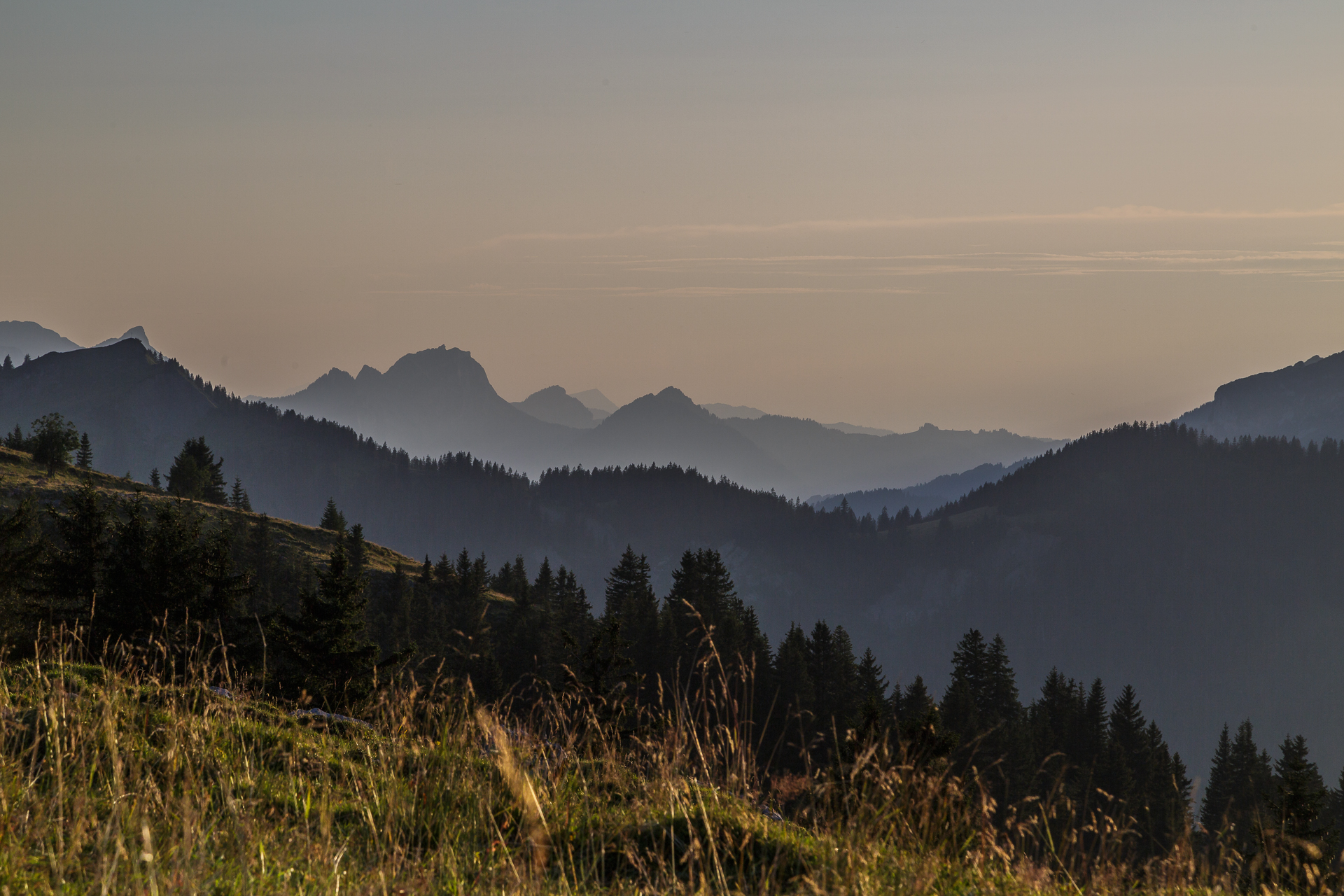 Vordere-Selunalp-Toggenburg