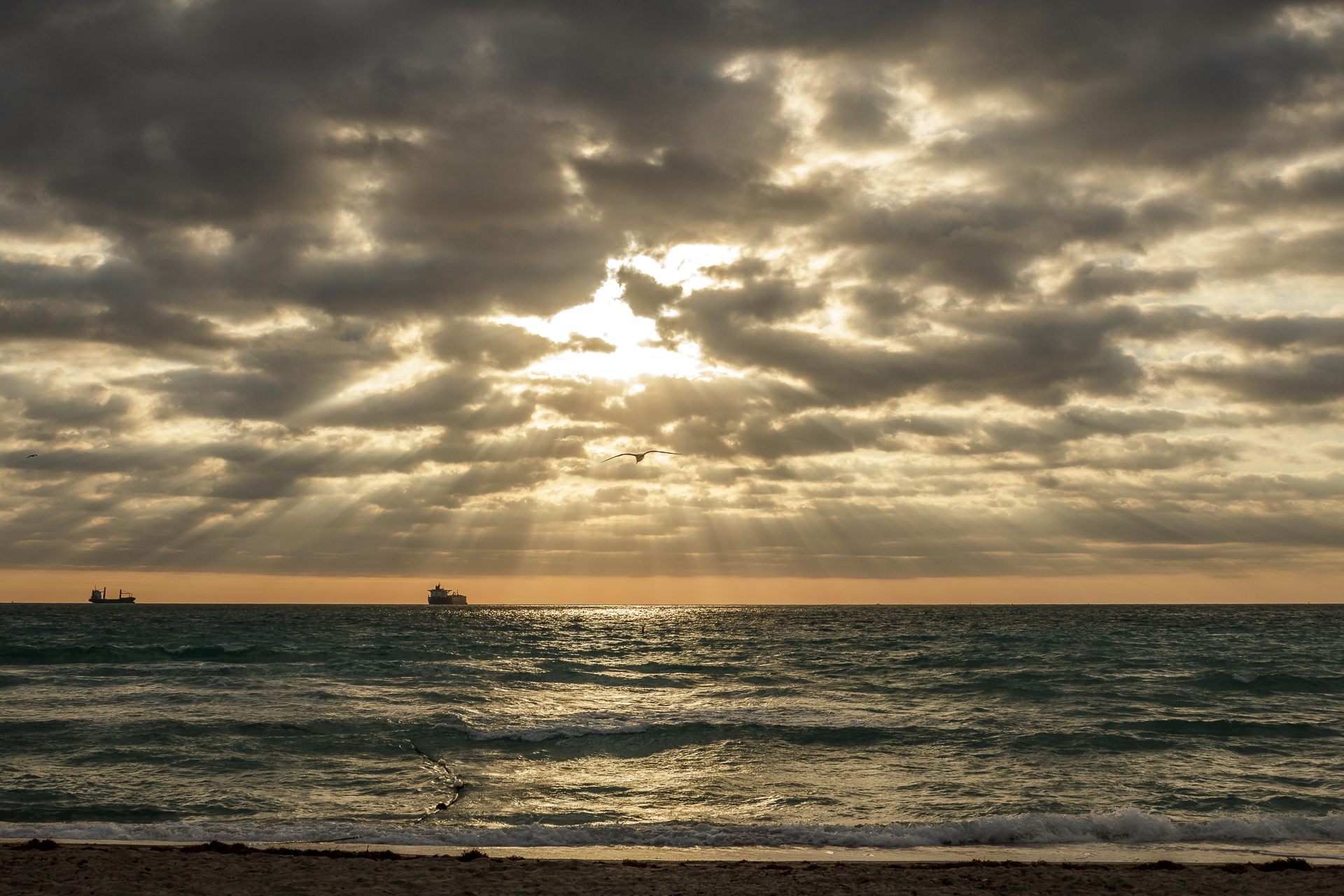 miami2013-20