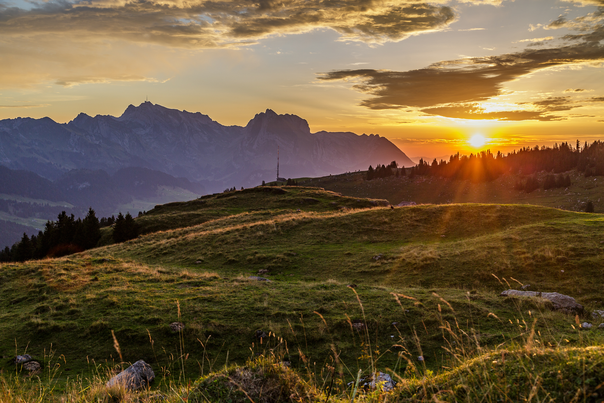 toggenburg-hoehenweg-116