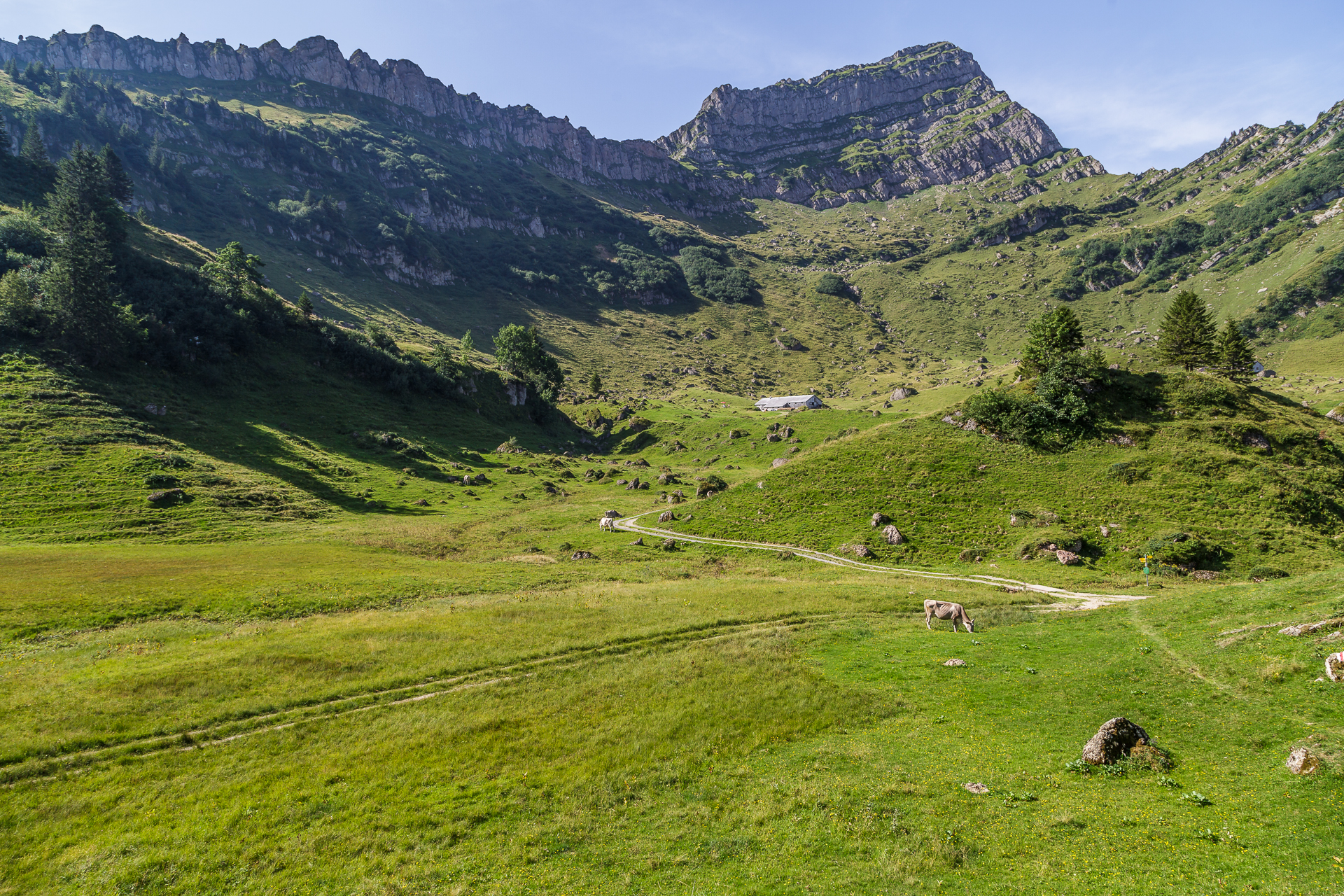 toggenburg-hoehenweg-277