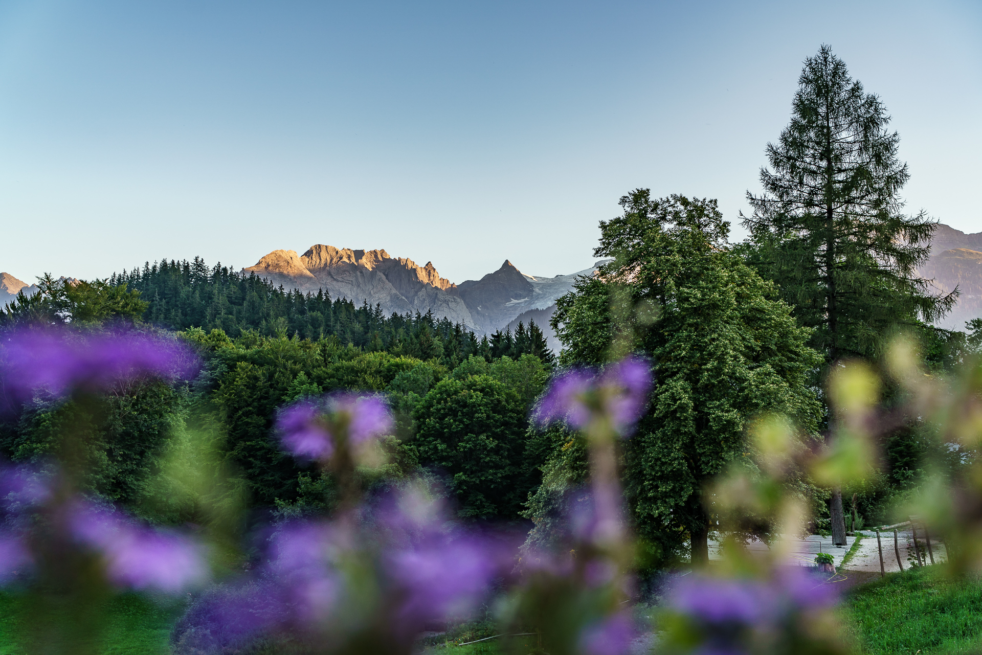 Aussicht-Restaurant-Wetterhorn