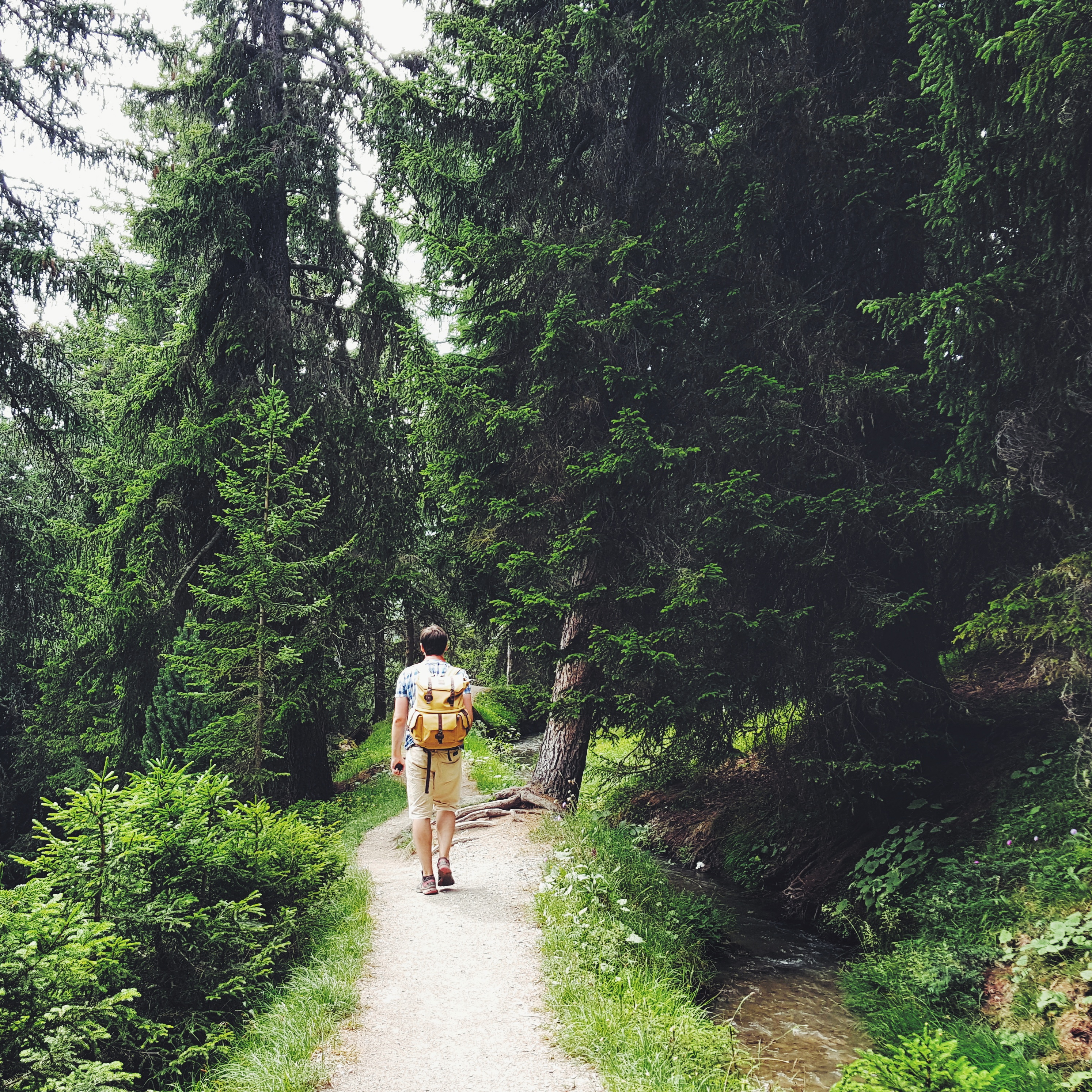 Bisse-Wanderung