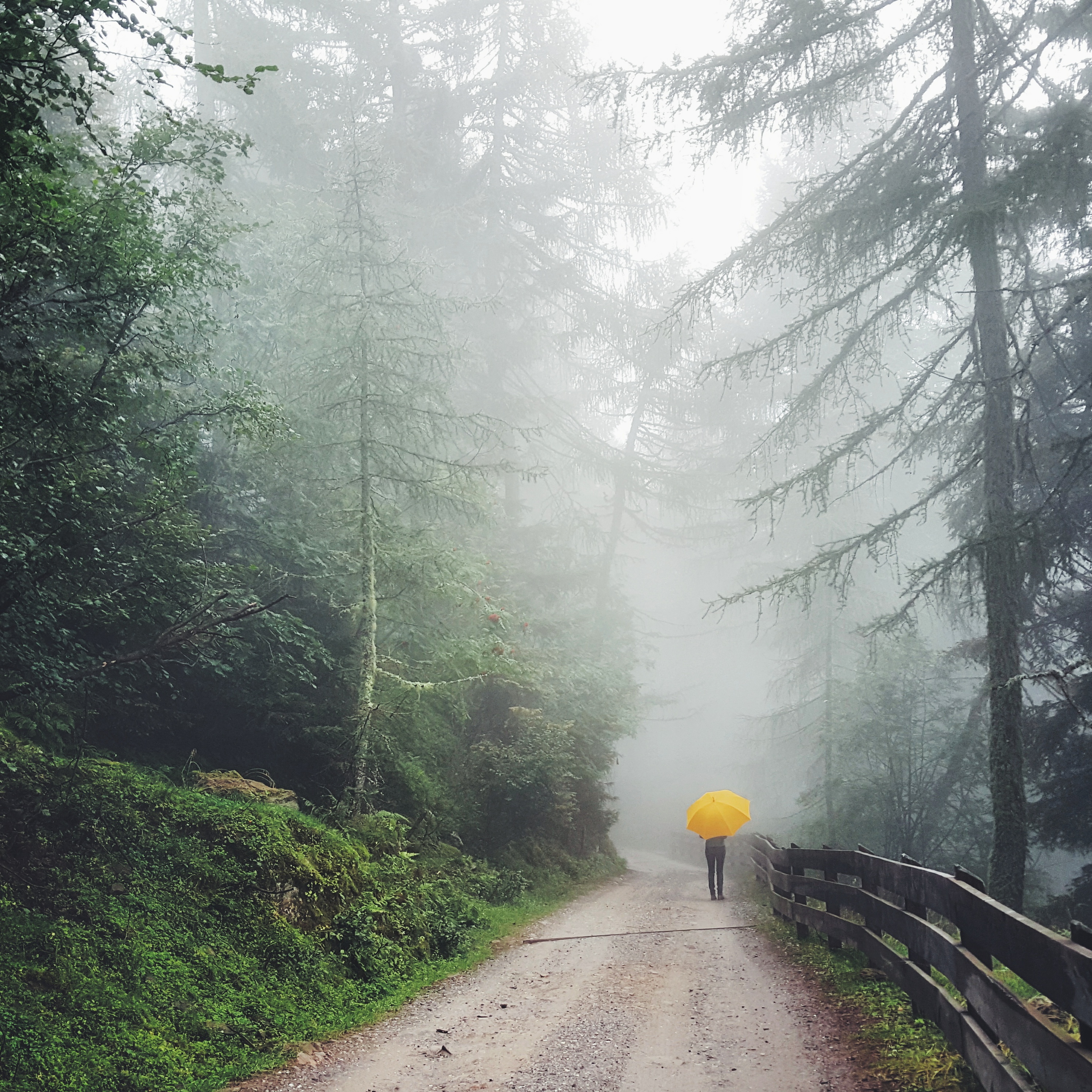 Chasing_fog