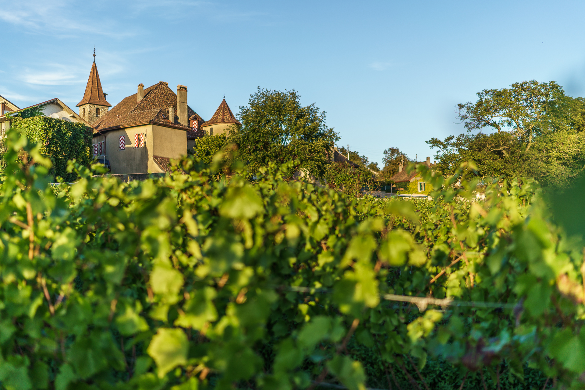 Chateau-Rochefort-Allaman-2