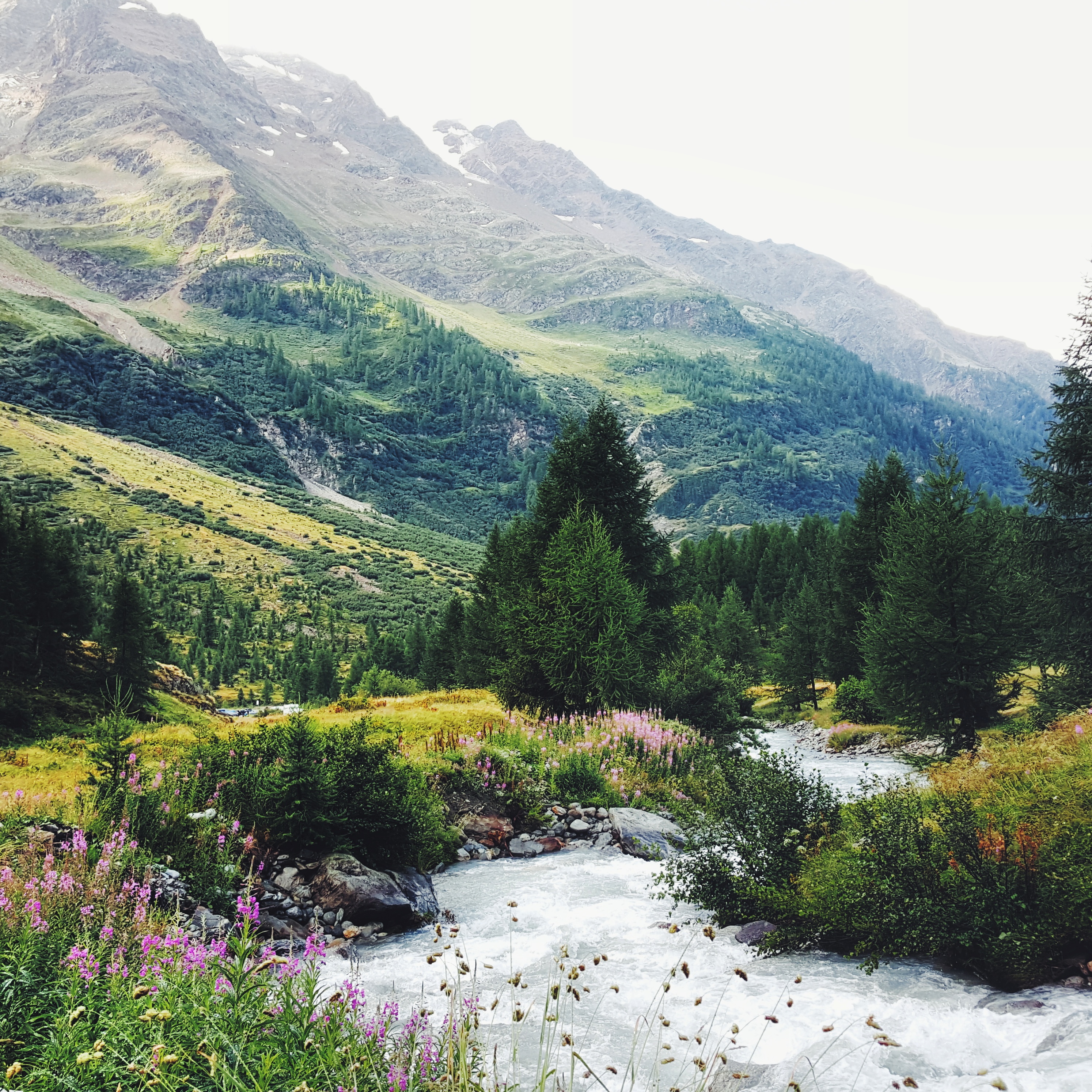 Fafleralp