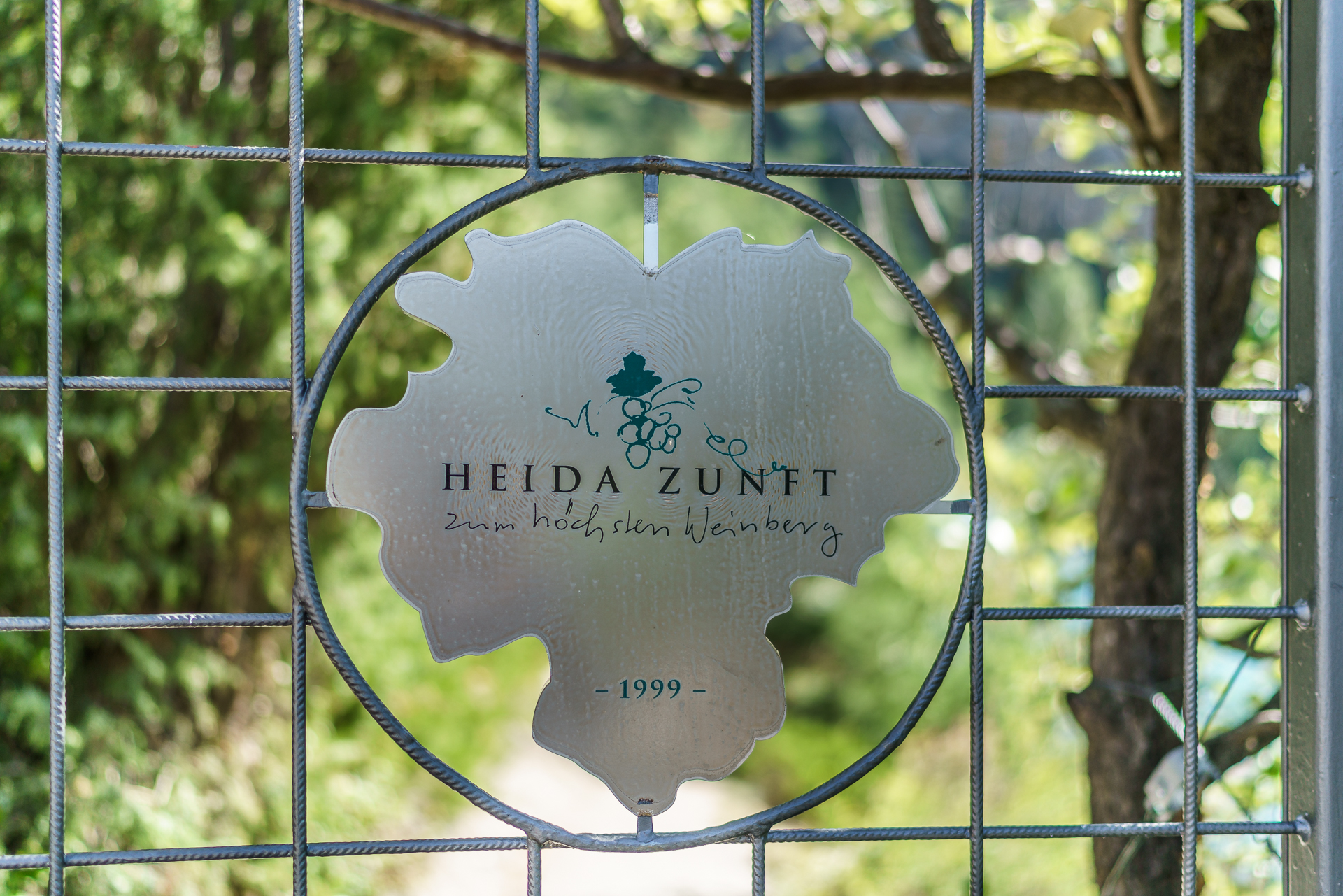 Heidazunft
