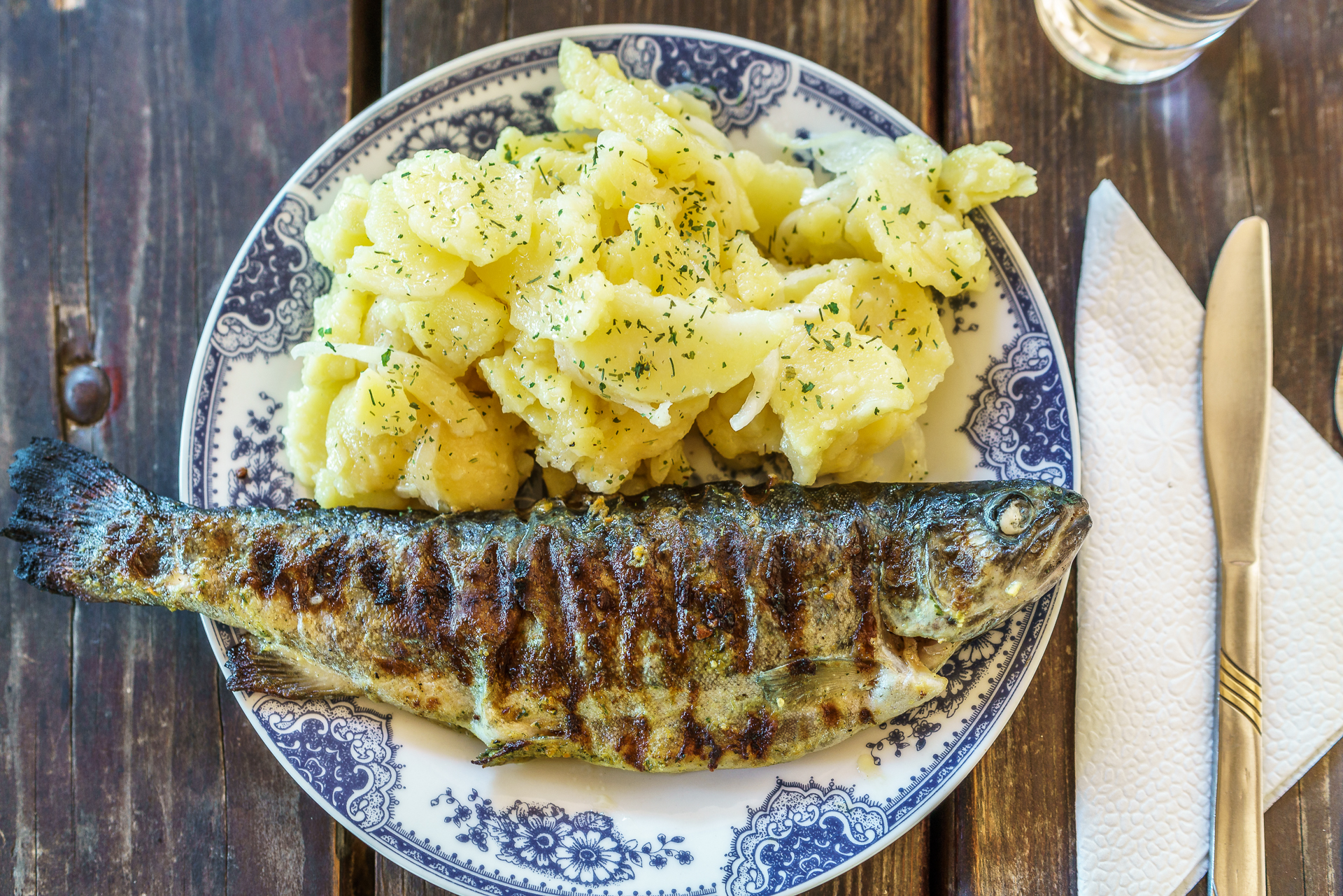 Mittagessen-Gradac-river