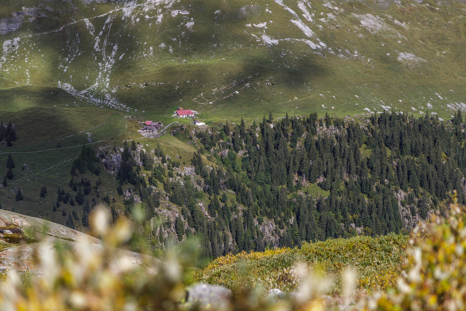 Obersteinberg-Lauterbrunnental