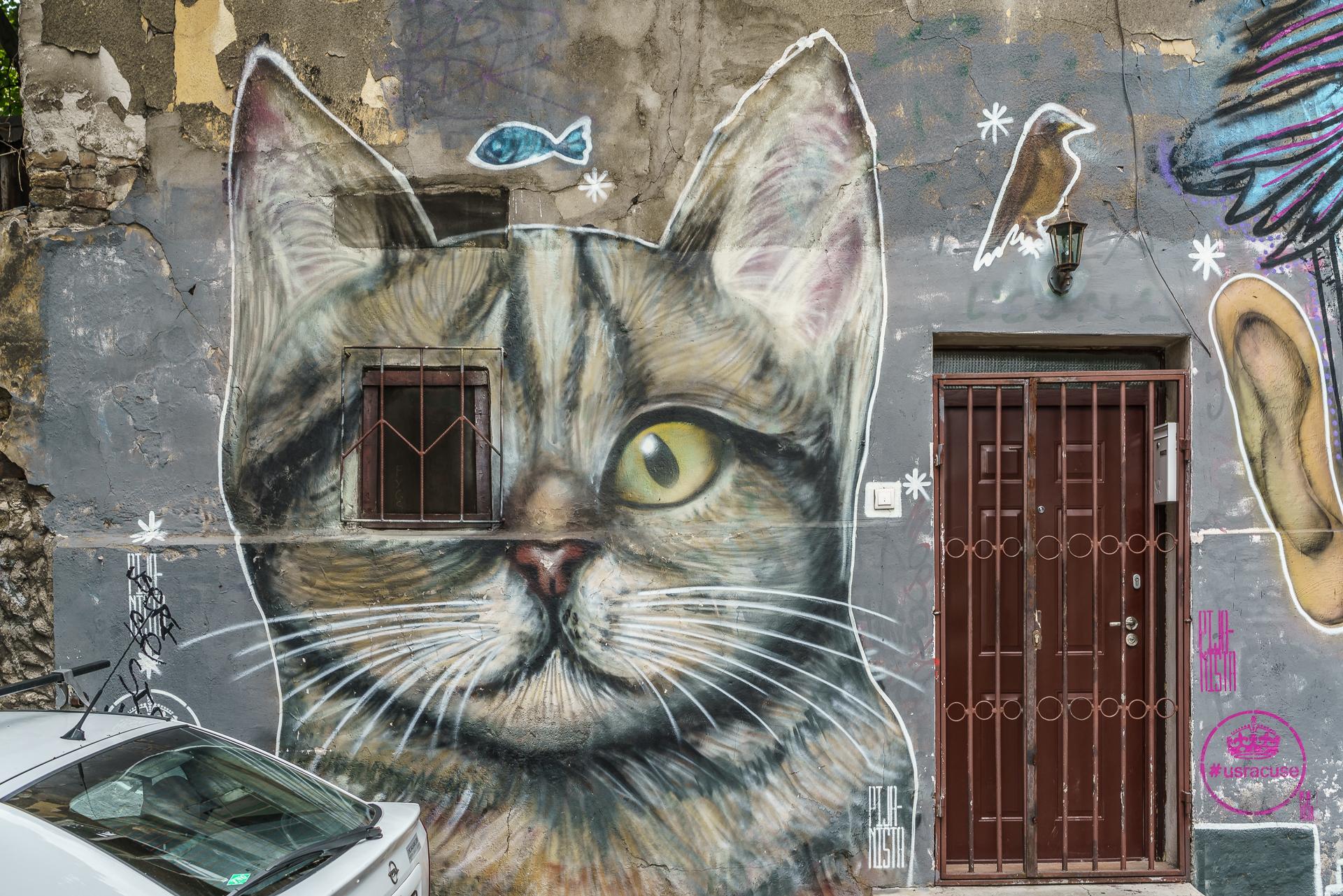 Savamala-Belgrad-Streetart-3