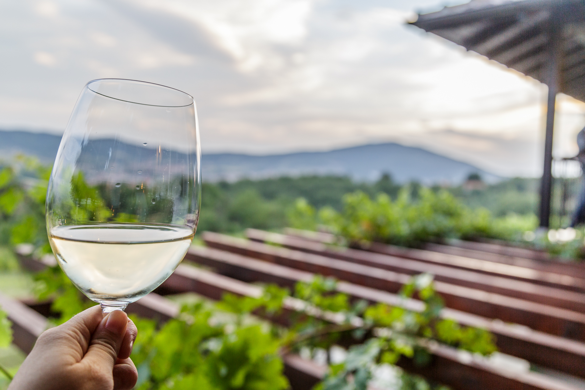 Serbischer-Wein