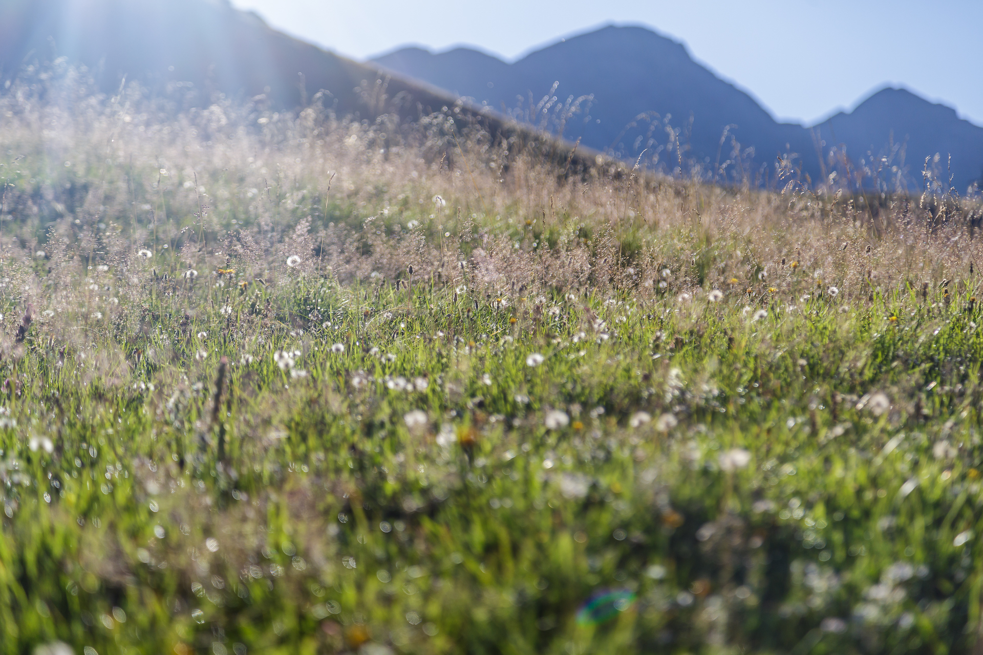 Wandern-Hasliberg