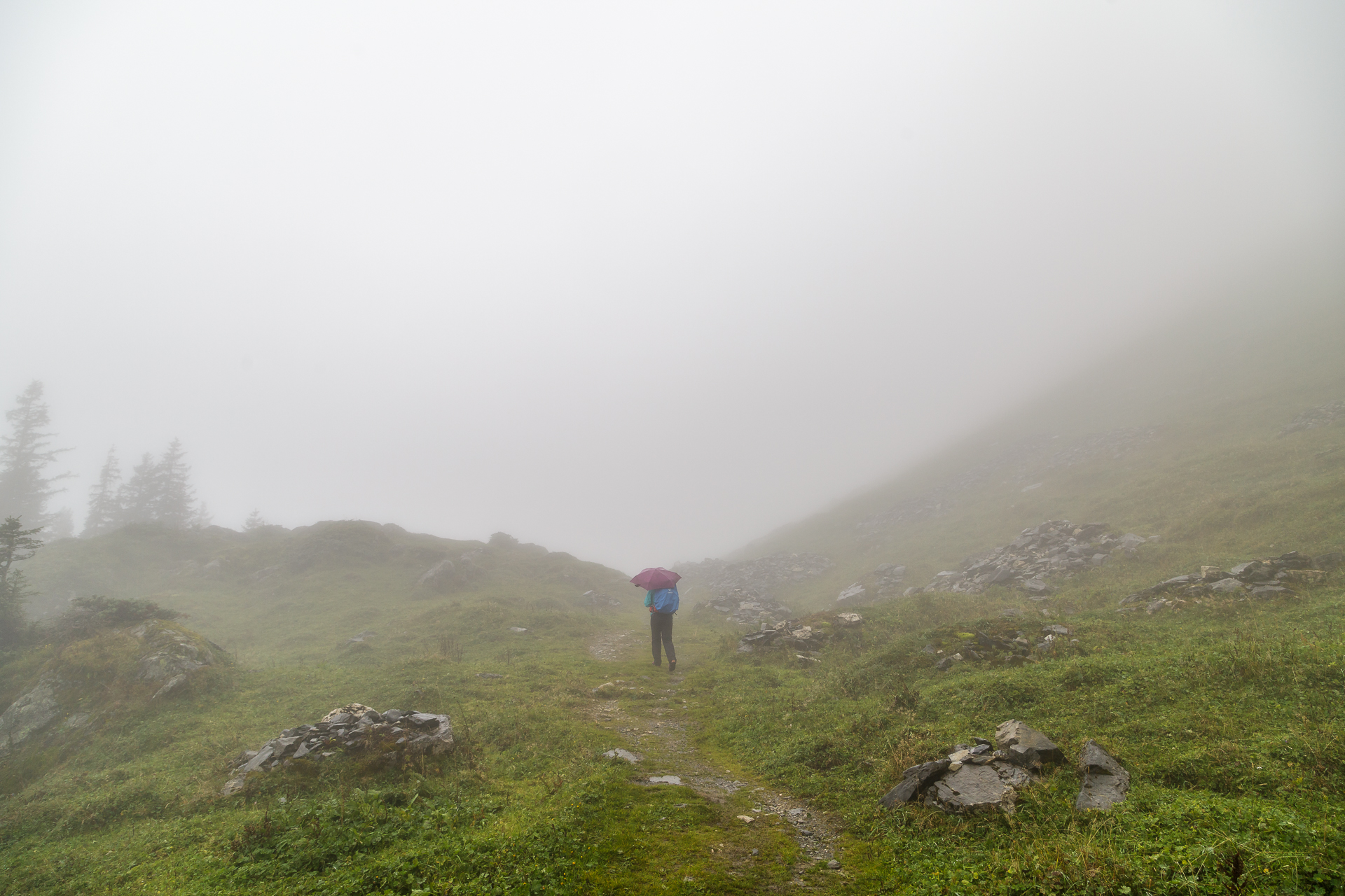 Wandern-im-Nebel