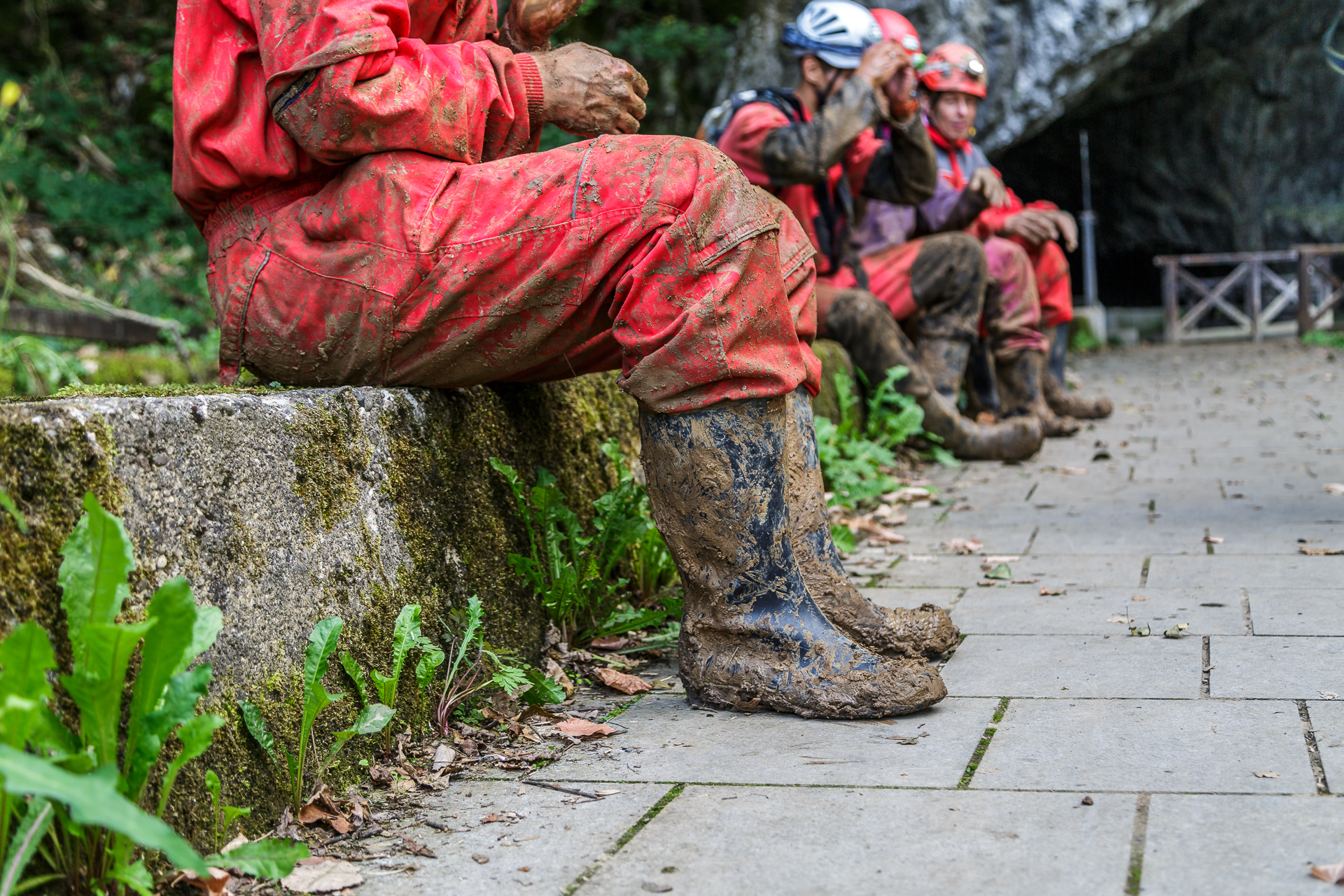 Wild-Serbia