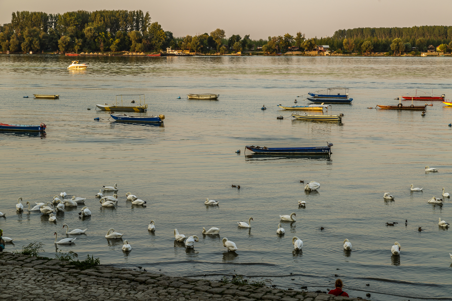 Zemun-Donau