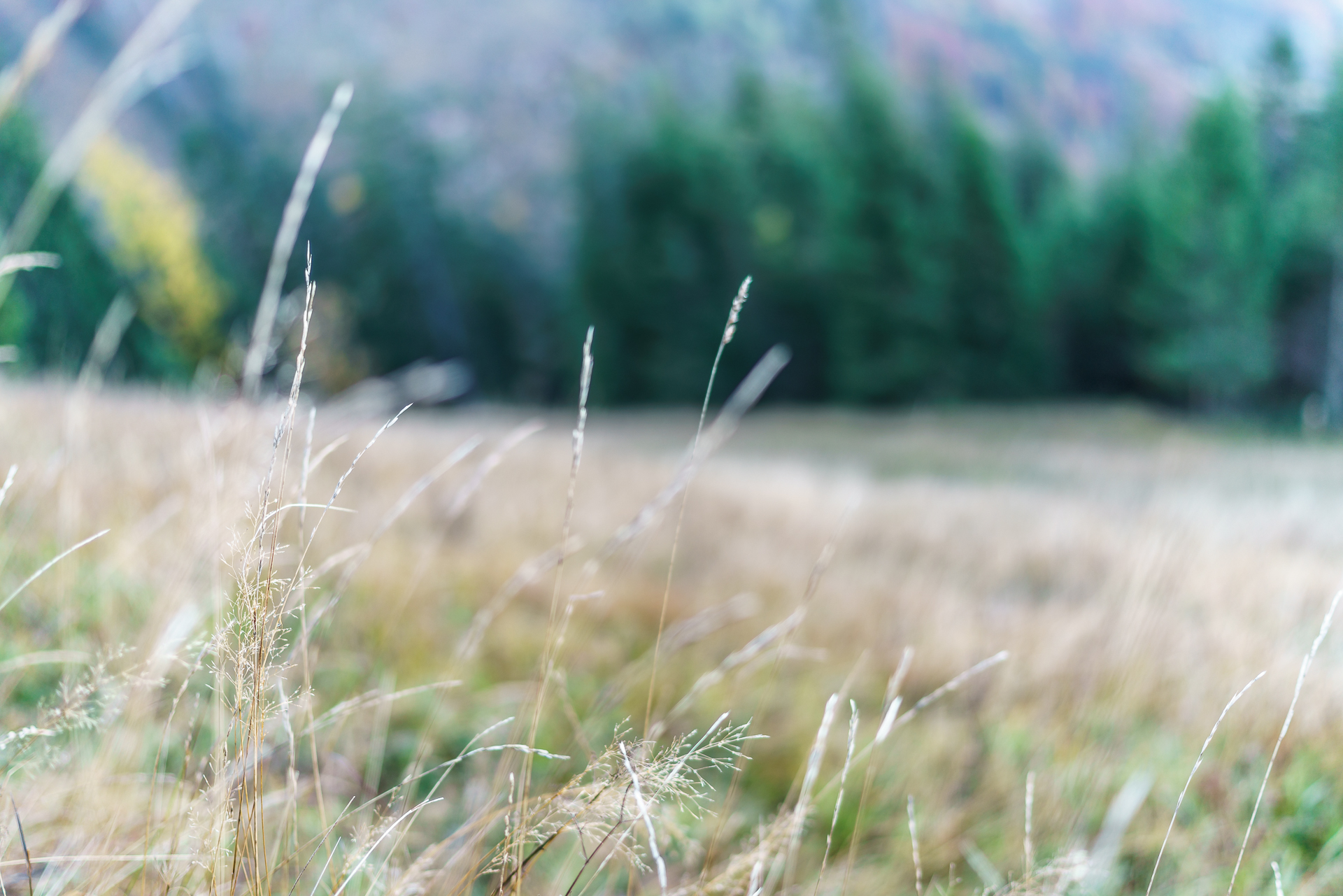 Aeugsten-Herbstwanderung