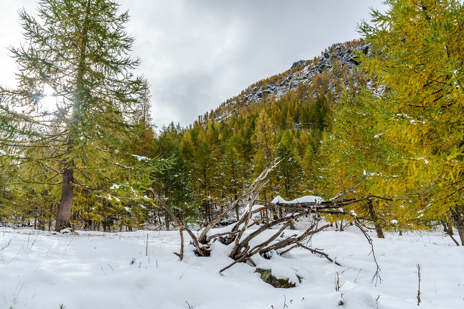 Furggu-Simplon-Wanderung-2