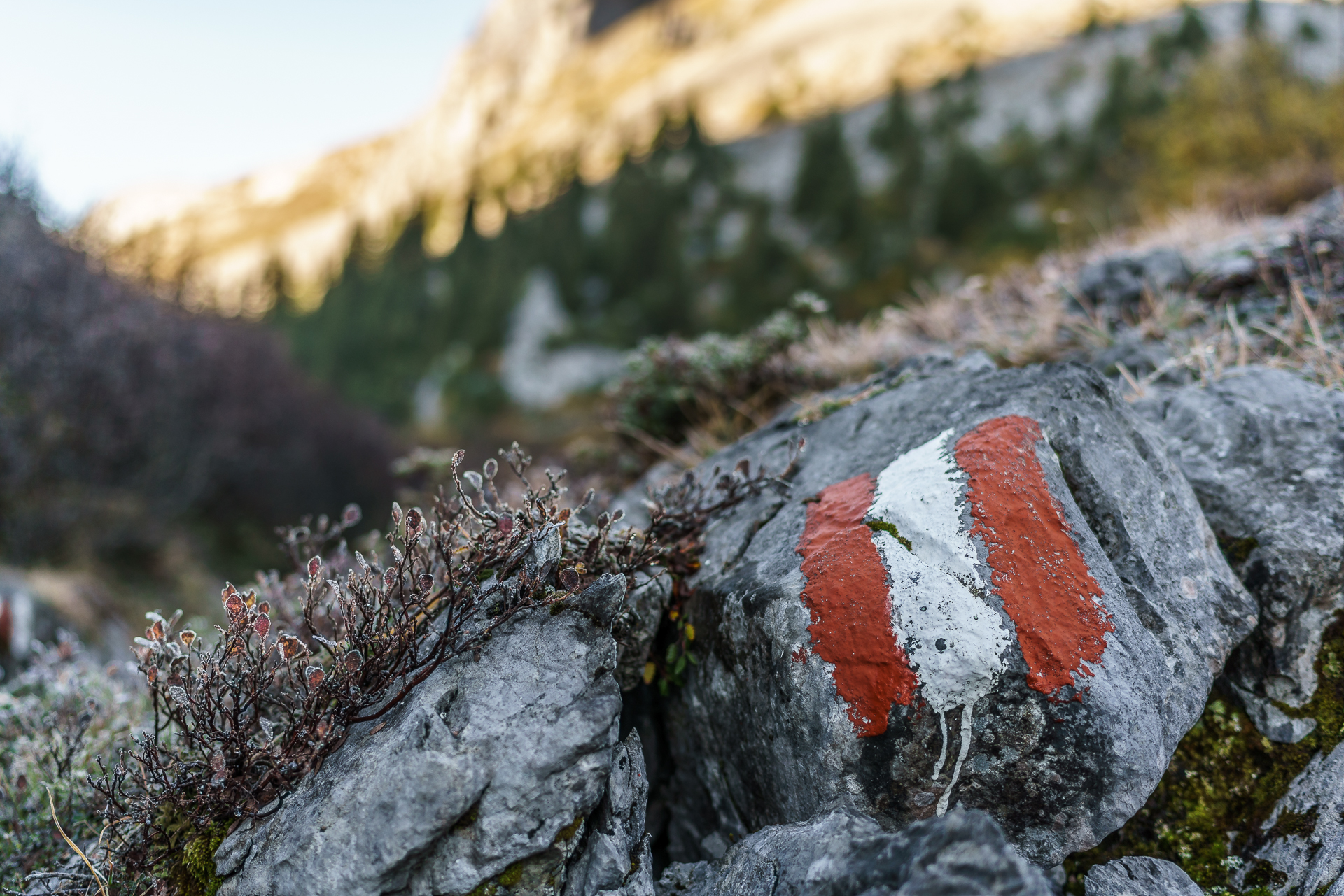Herbstwanderung-Schweiz