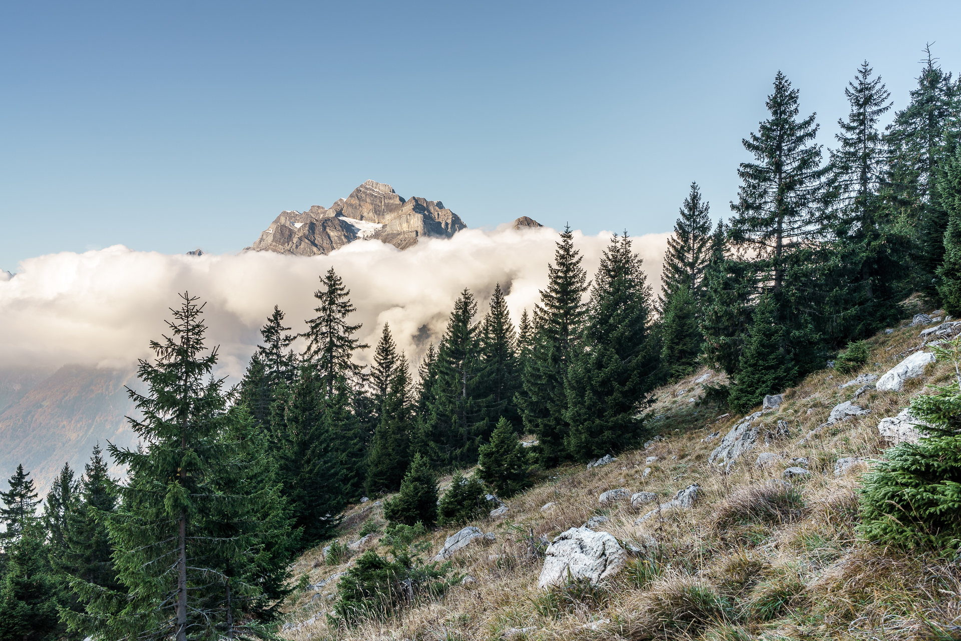 Hochnebel-Herbst