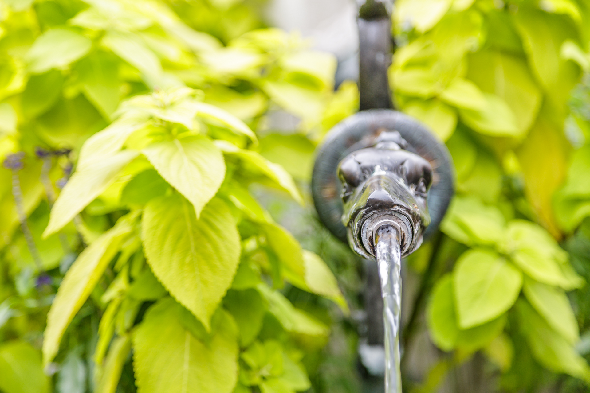 Lausanne-Brunnen