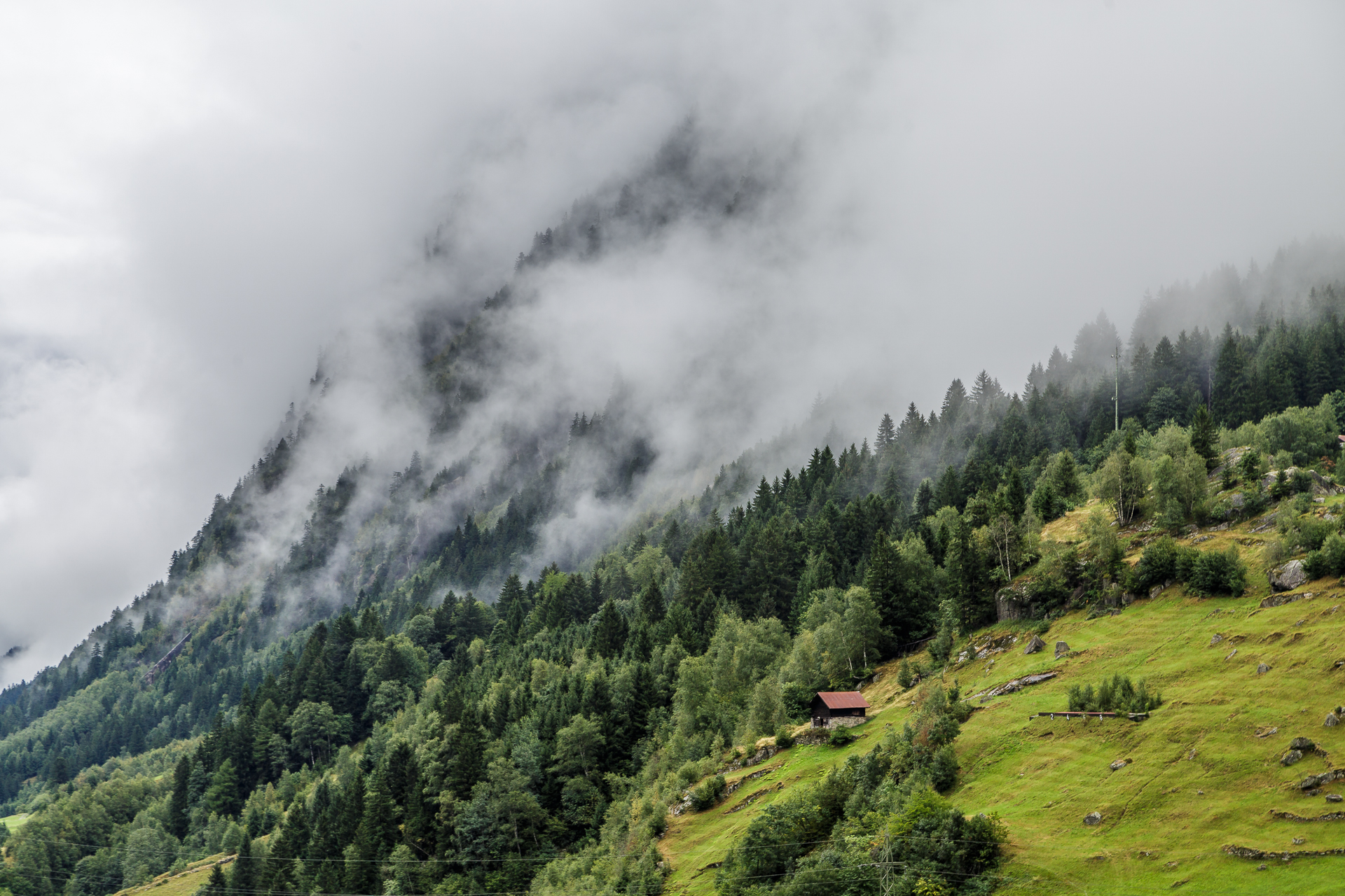 Nebel