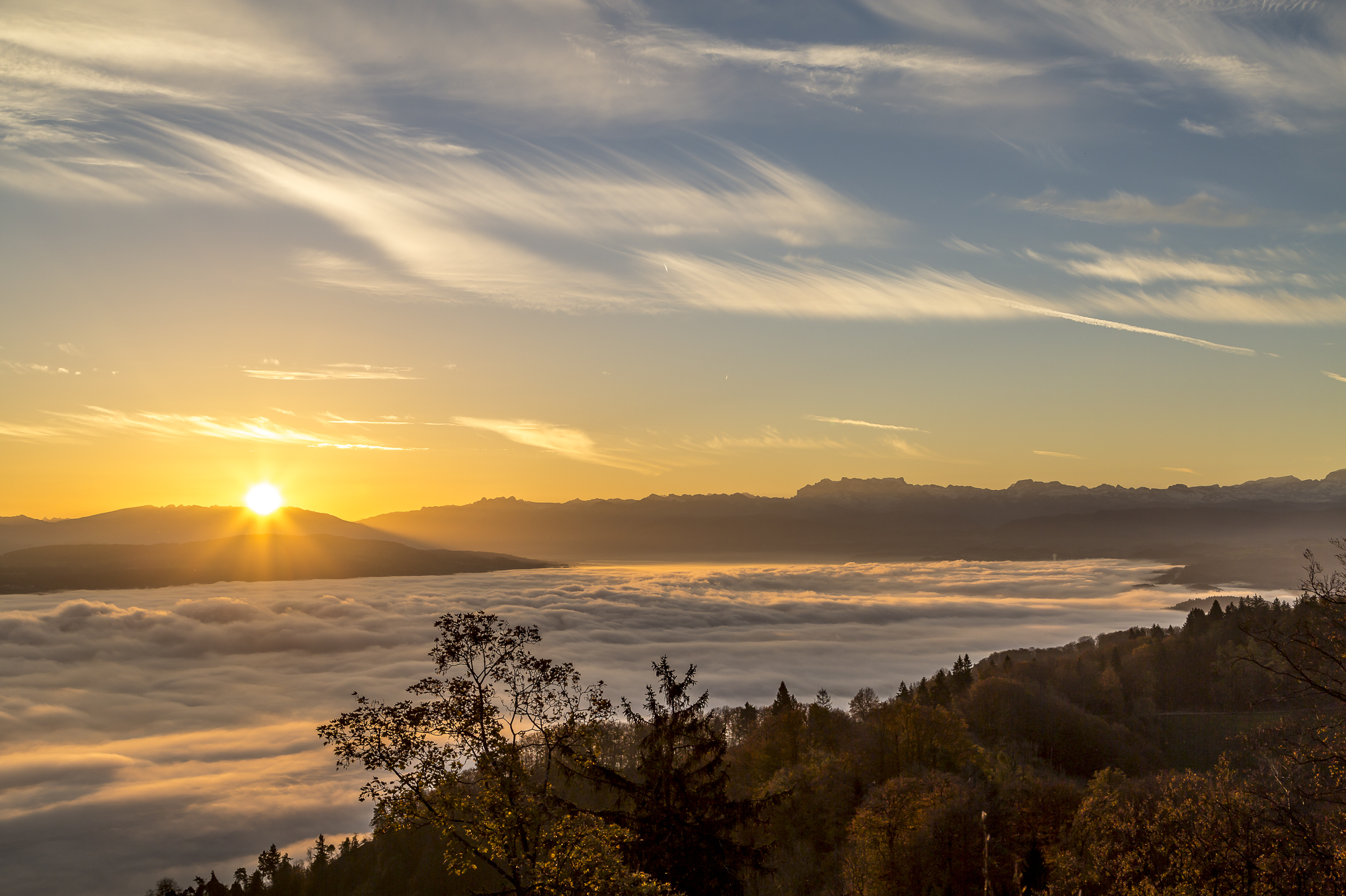 Uetliberg-Sonnenaufgang