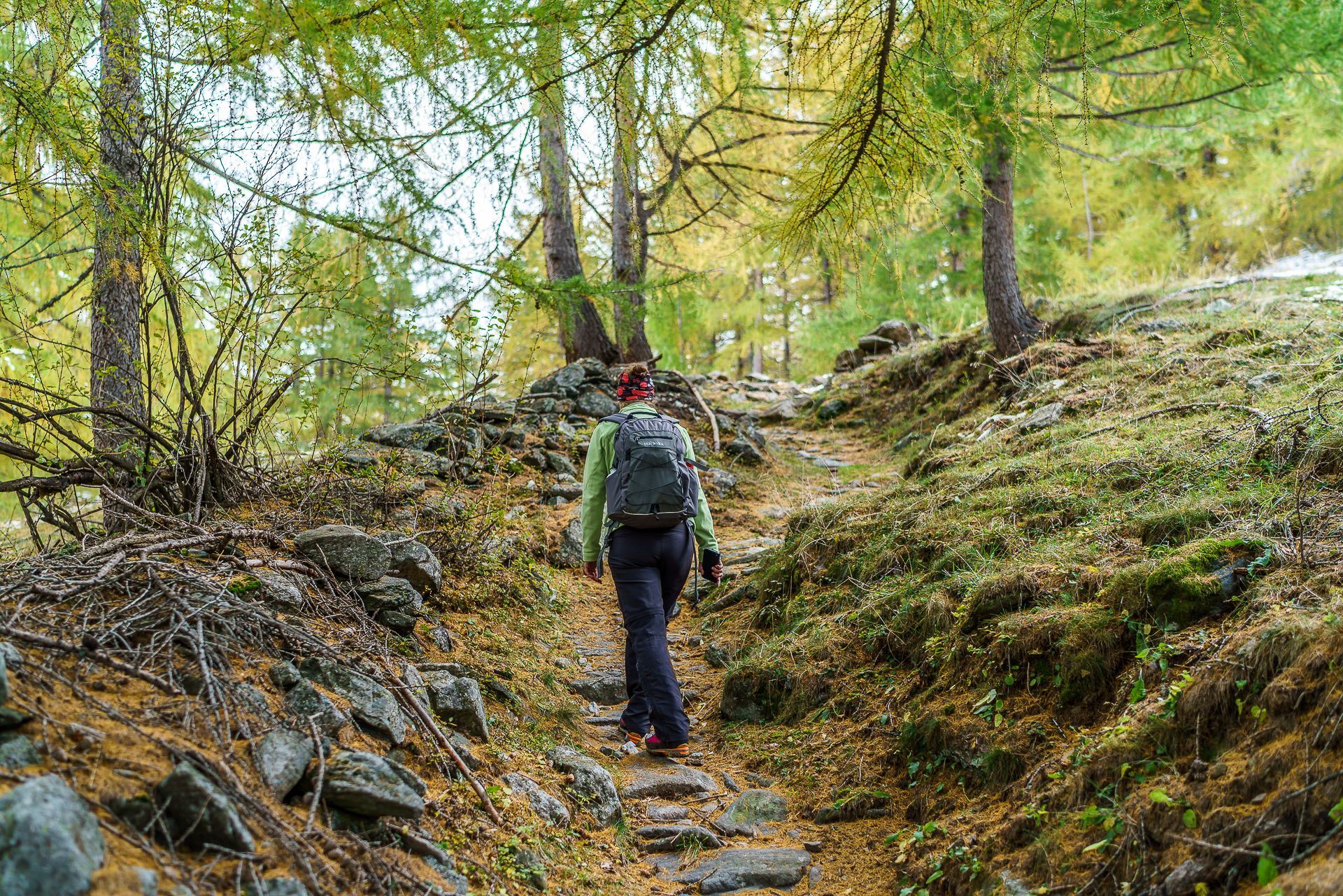 Wanderung-Laerchenwald-Simplon