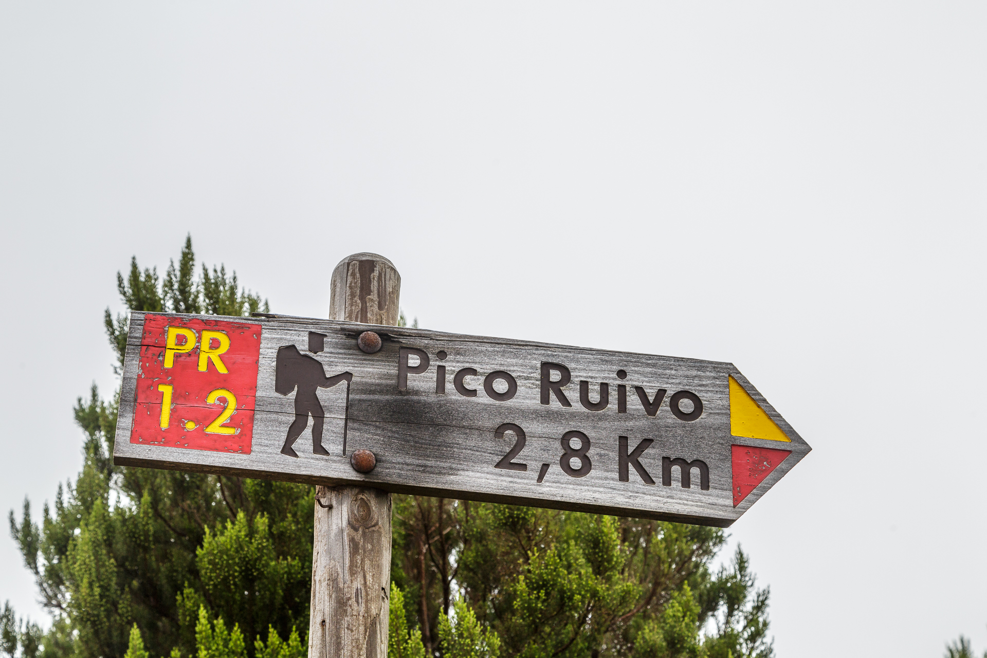 Wanderung-Pico-Ruivo-Achada-do-Texeira