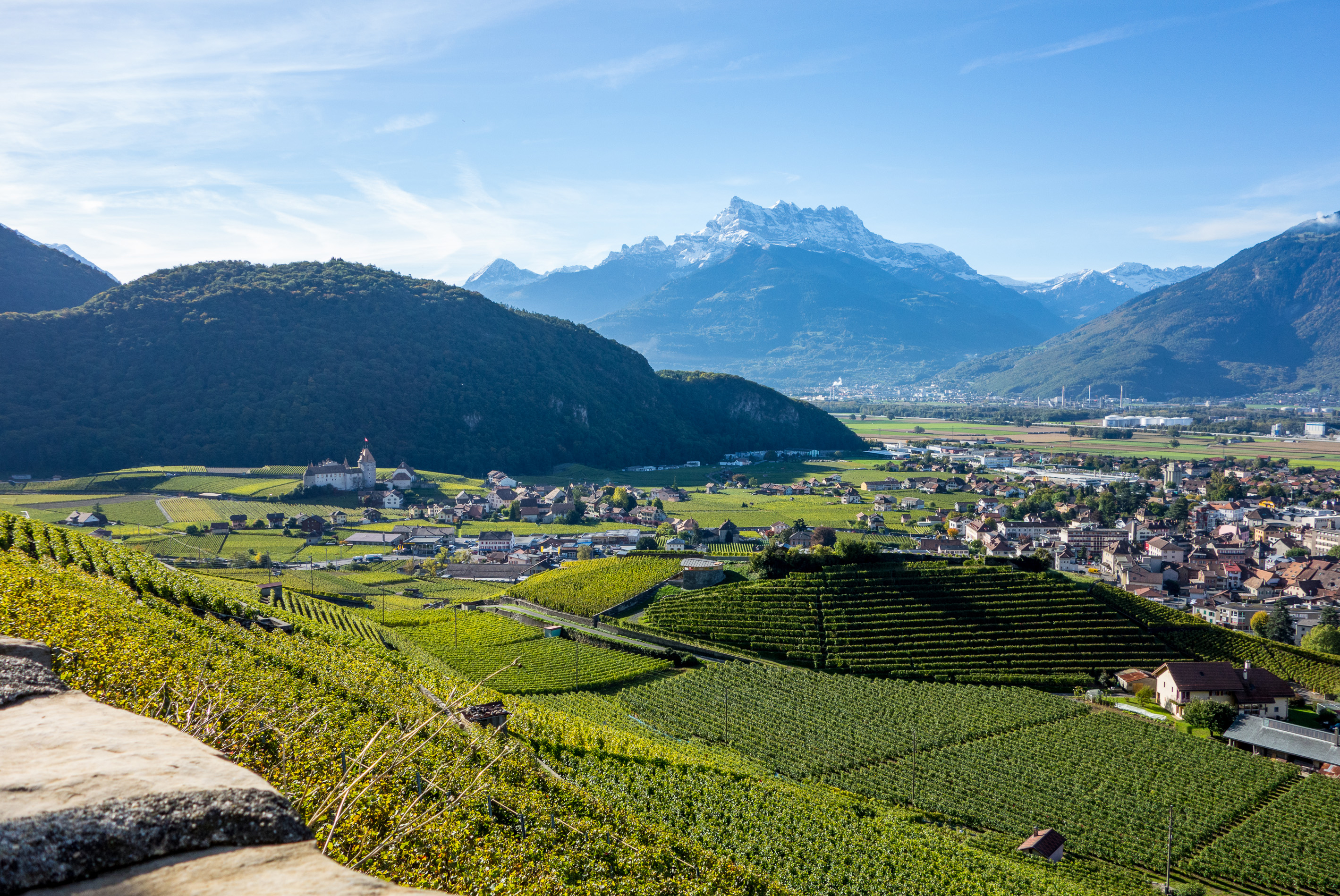 aigle-rebberge
