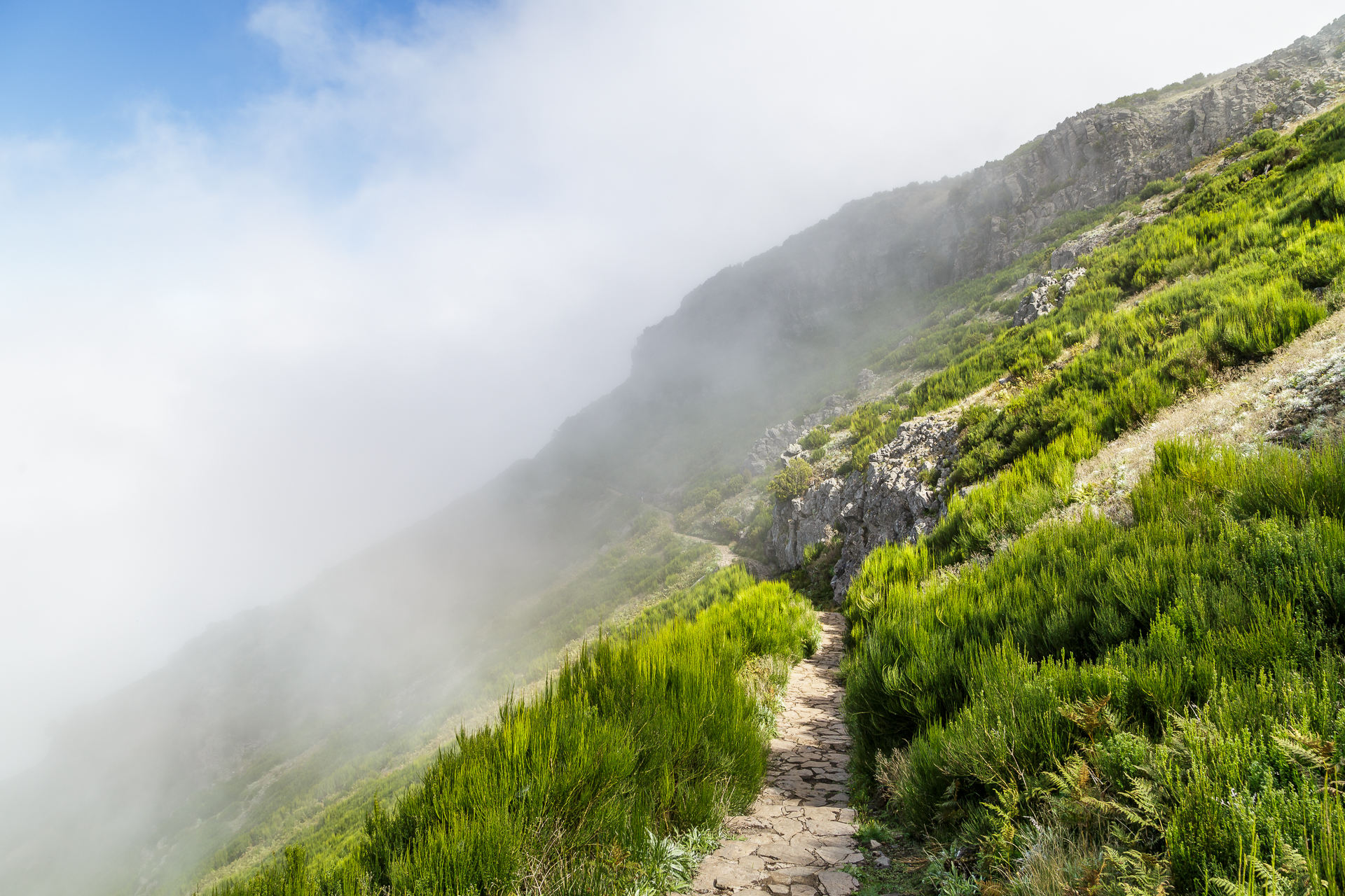 madeira-Berge-Nebel