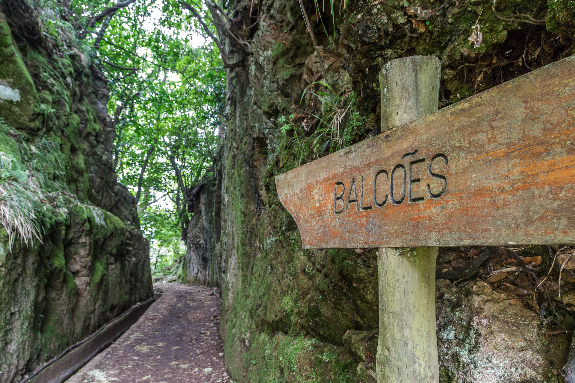 madeira-ribeiro-frio-Wanderung-Balcoes